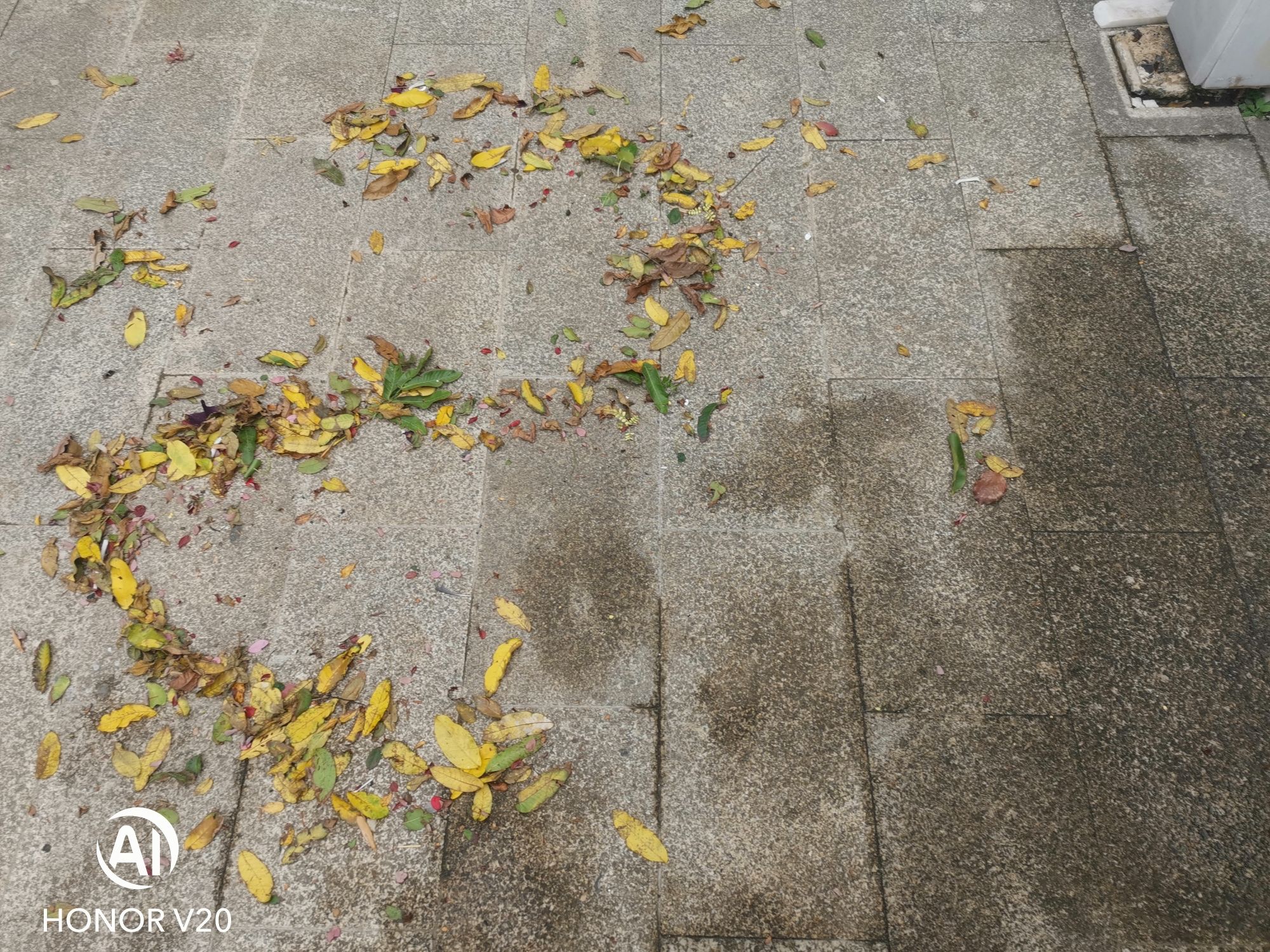 永丰城市公园