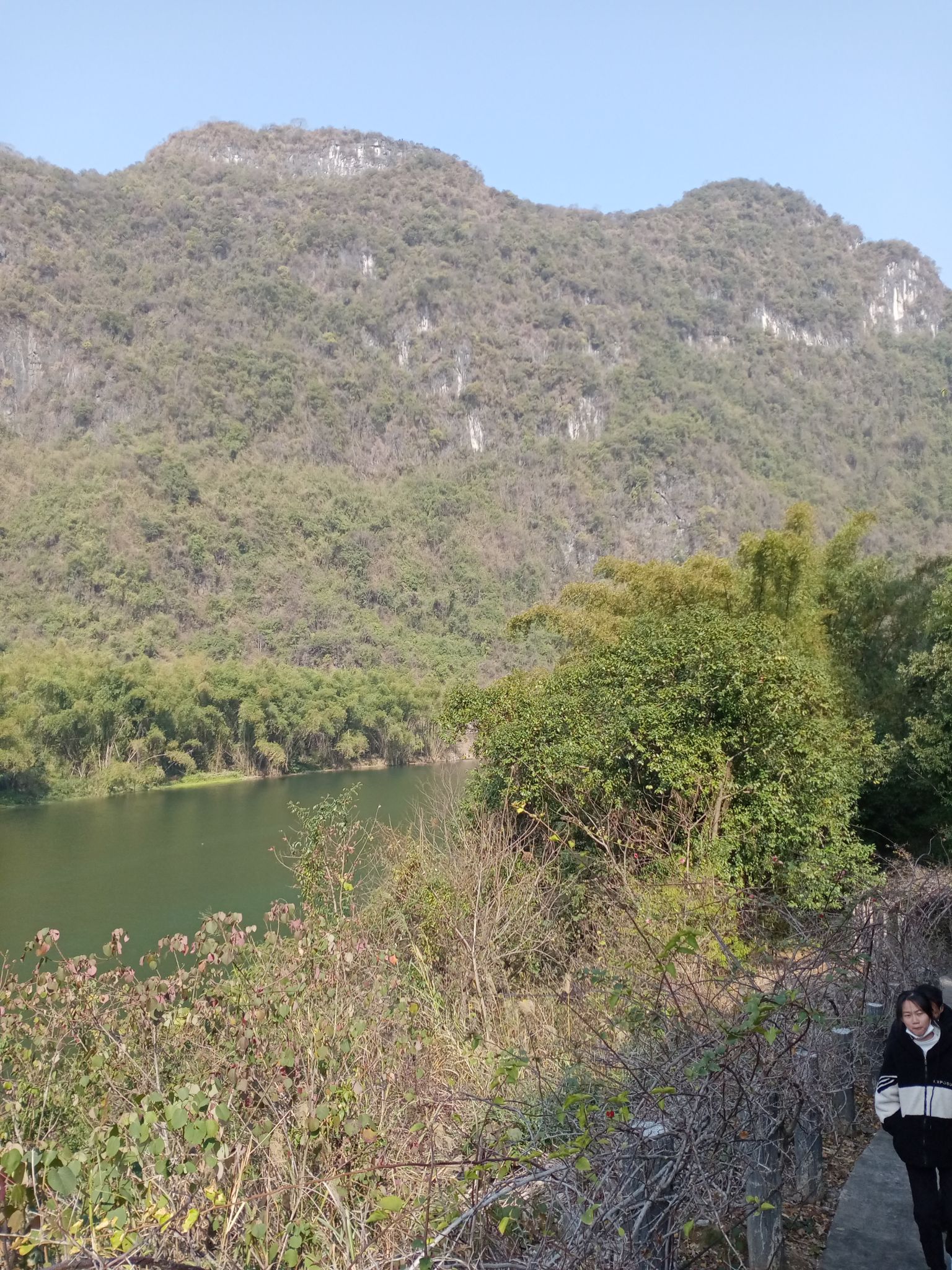 米椎林度假村
