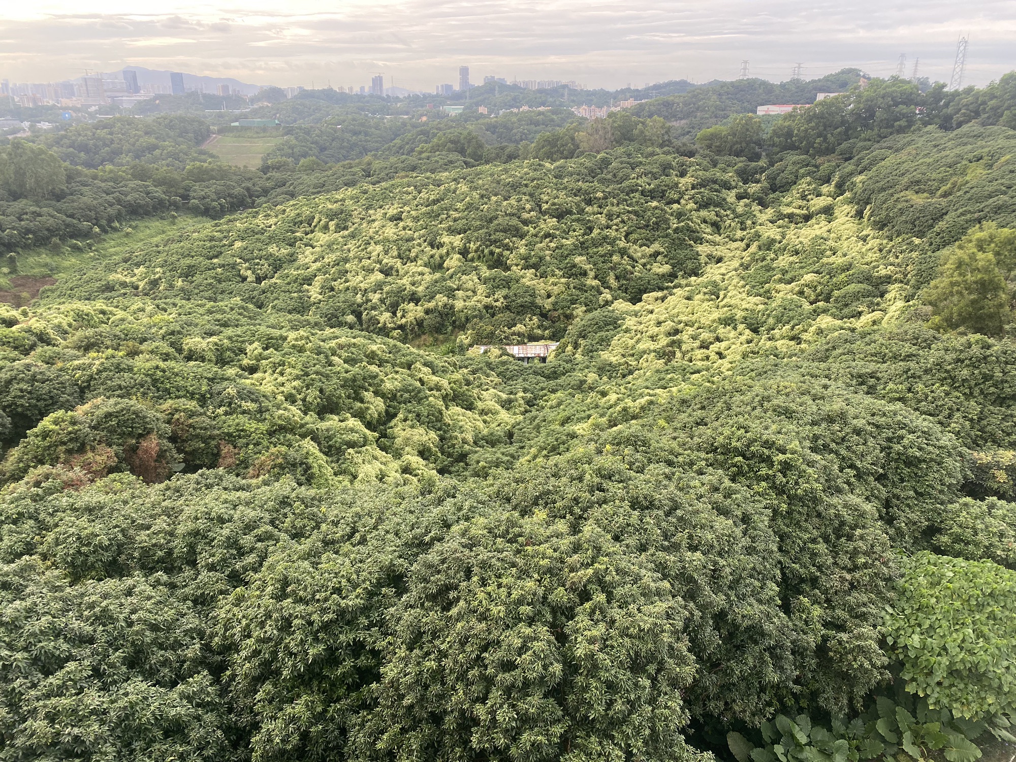 三联郊野公园