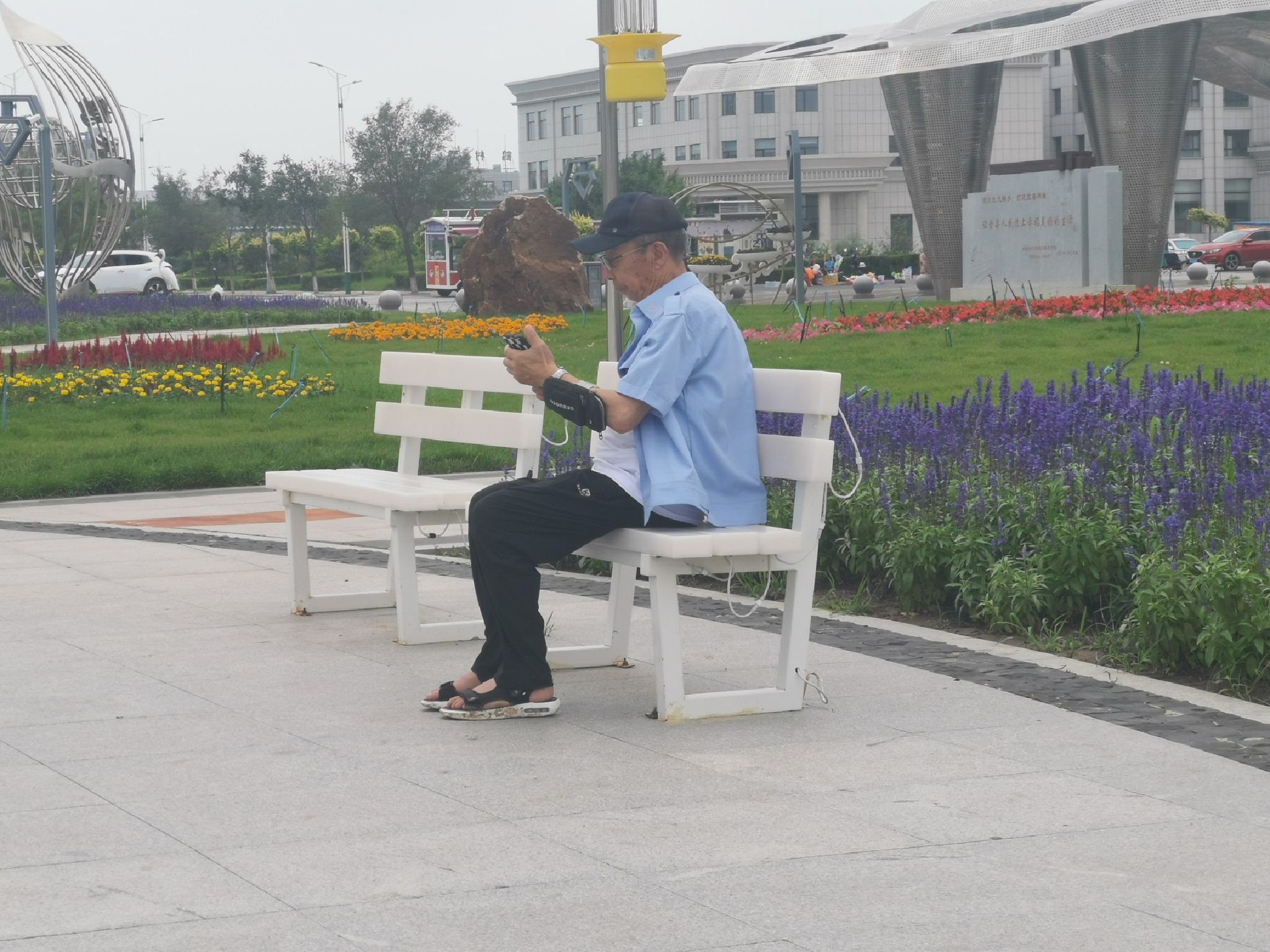 树满公园旅行图片