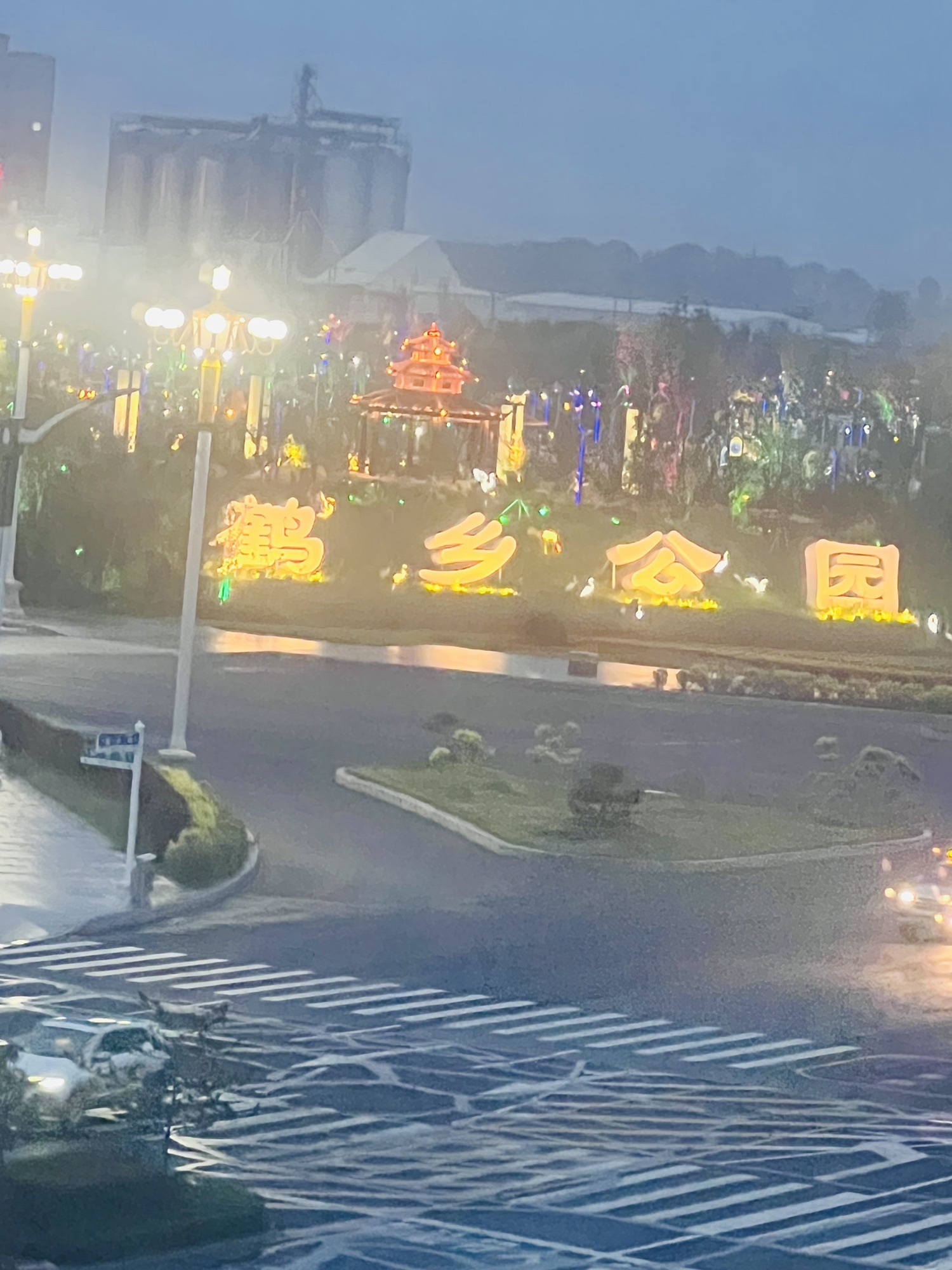 树满公园旅行图片
