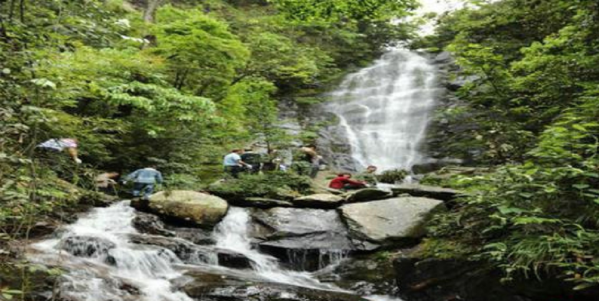 金洞三公垒瀑布群旅行图片