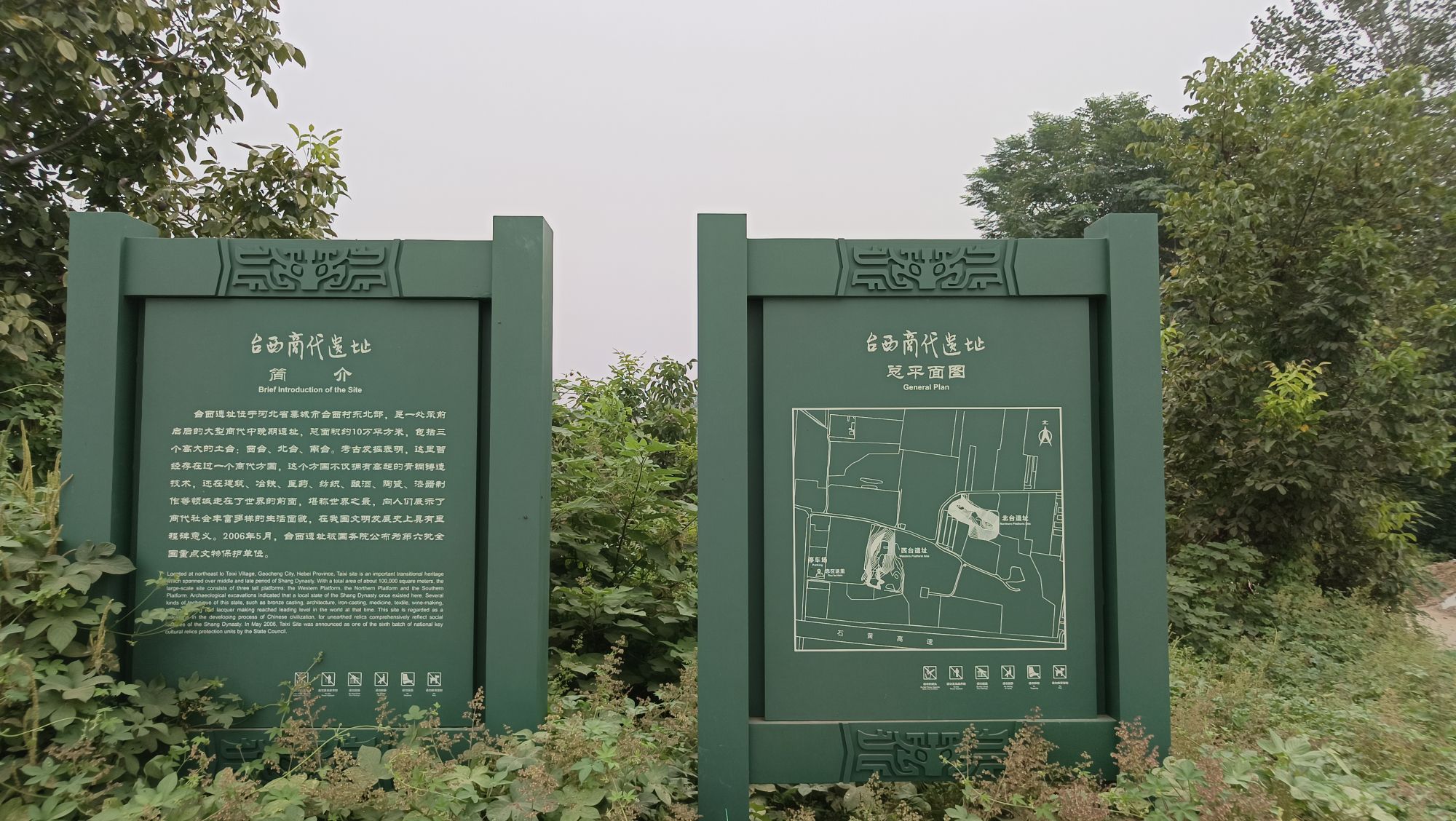 台西遗址