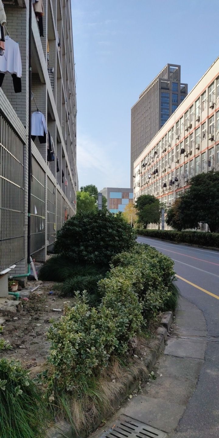 江南学院·小陈中心广场