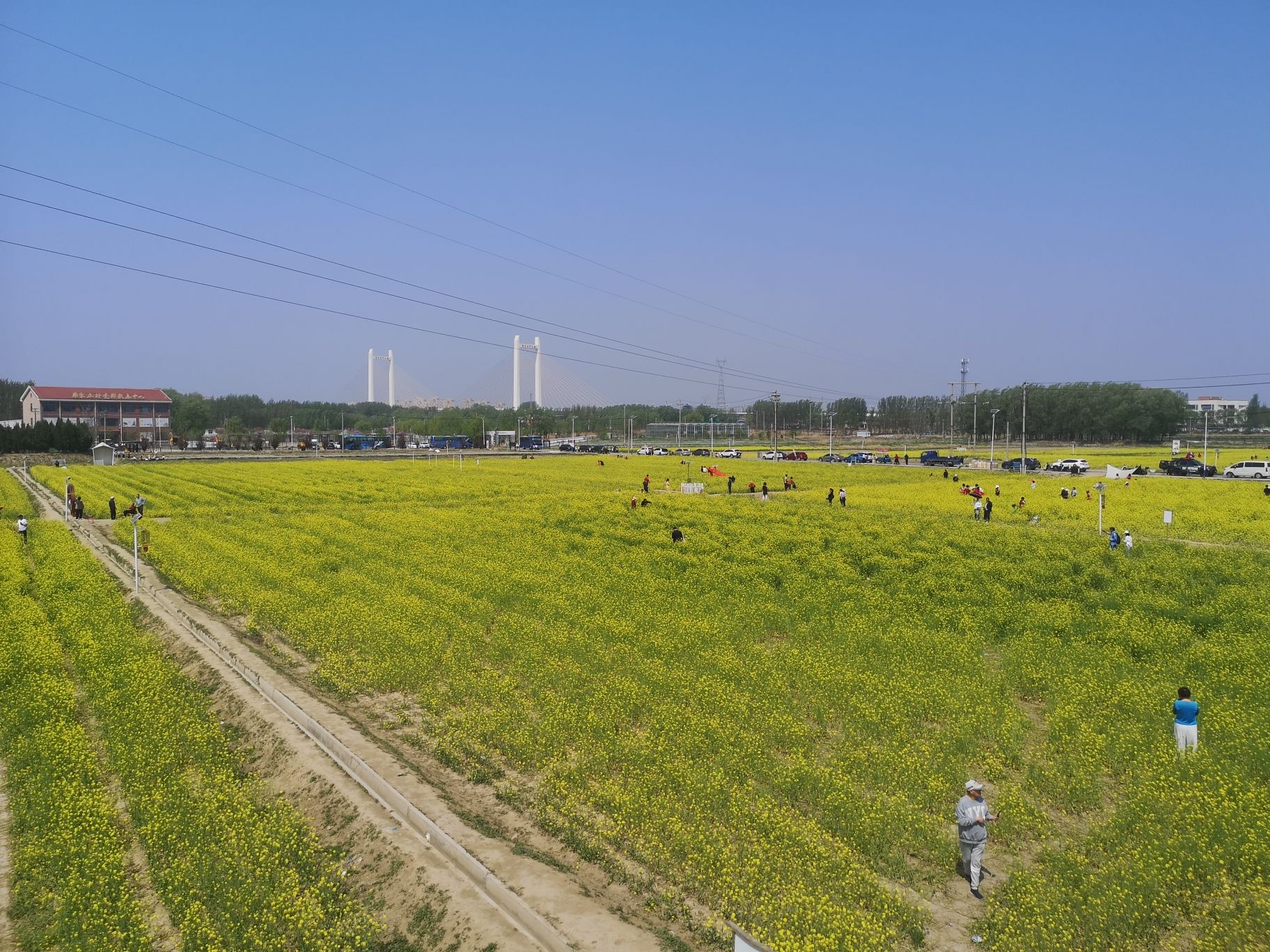 席家庄公园
