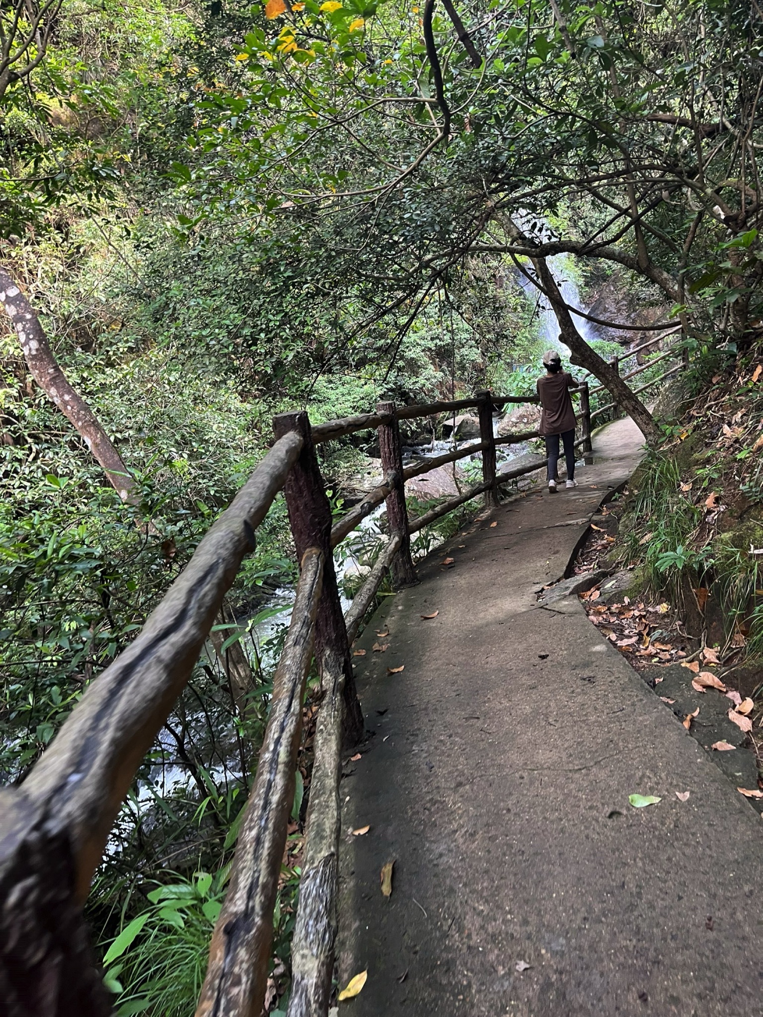 飞龙瀑