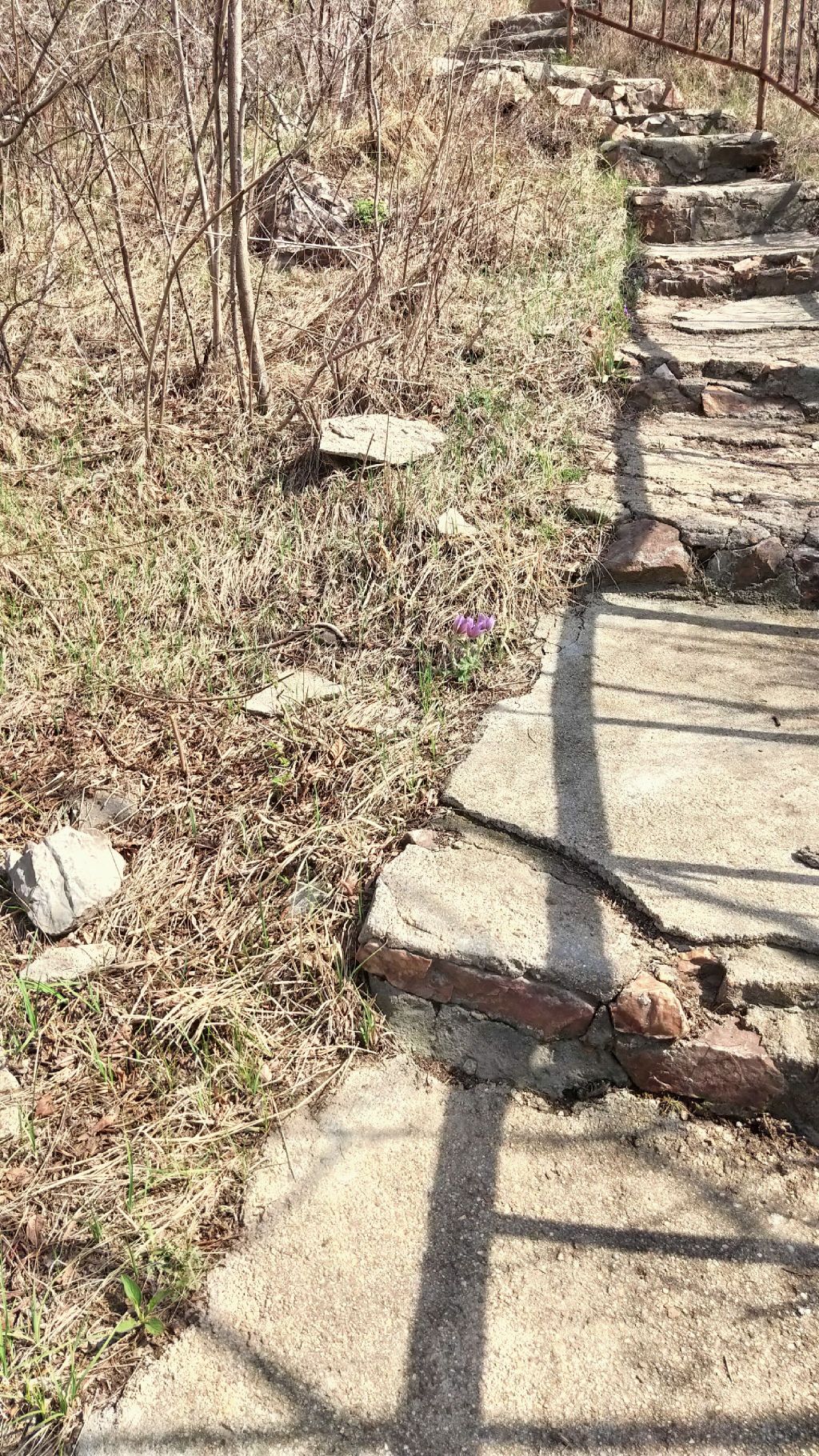 海城市胡仙洞