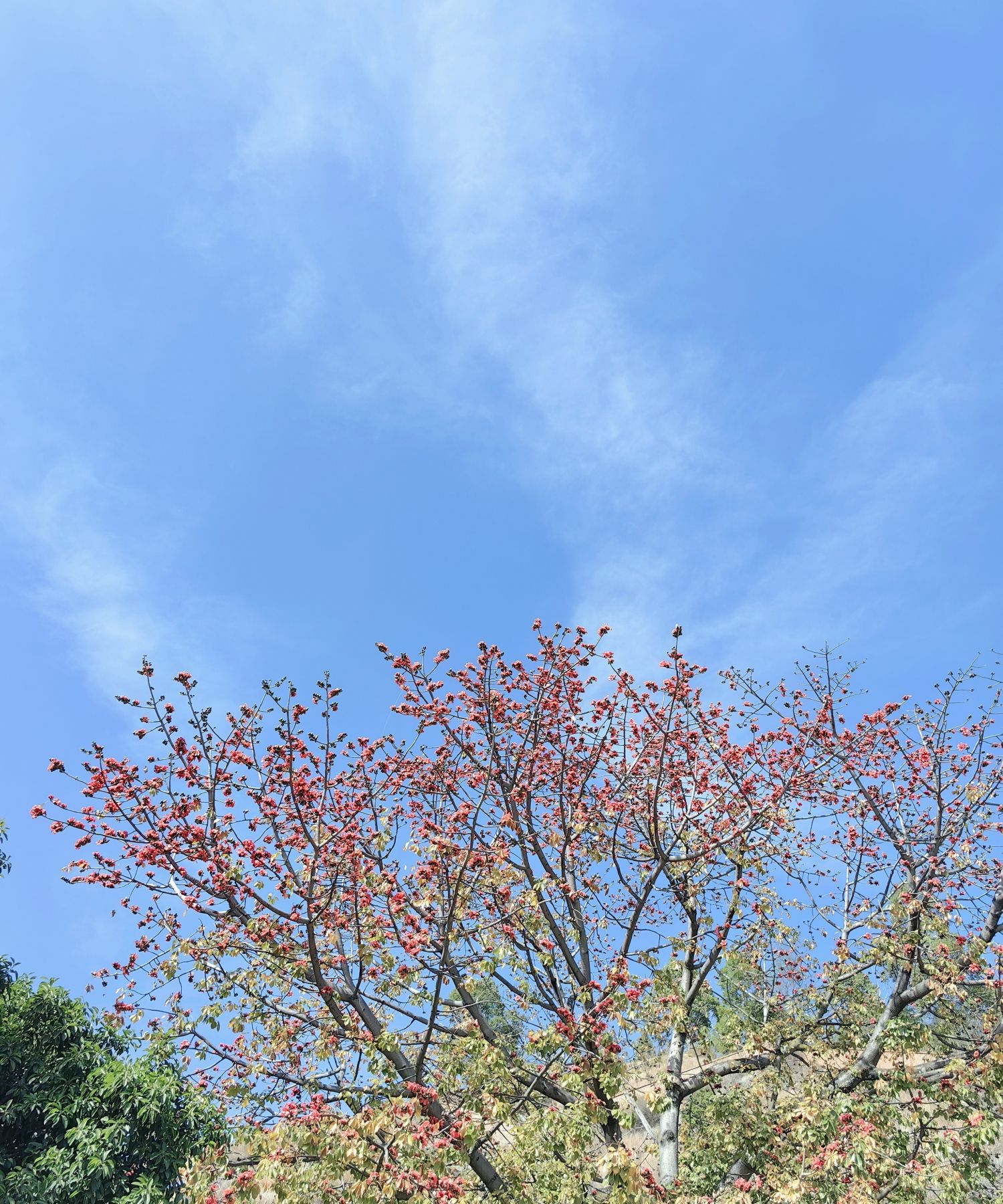 水中央湿地公园