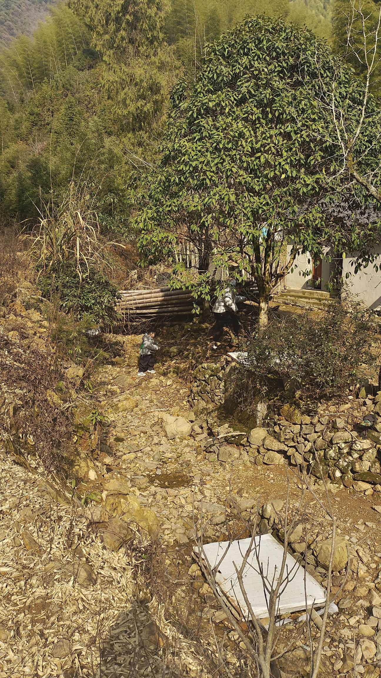 西源村景区