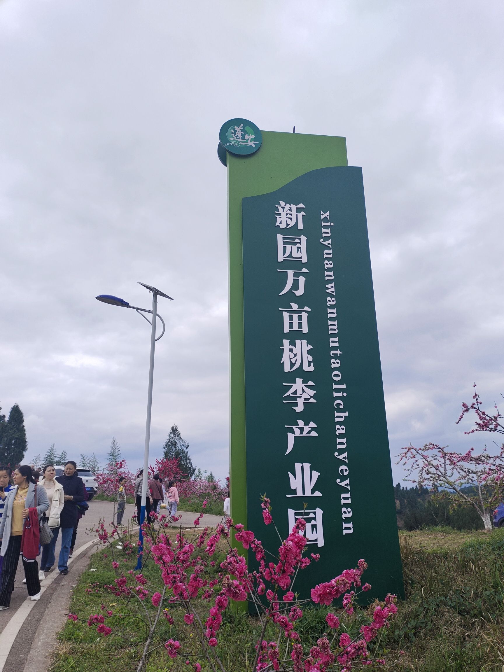本禾农业之桃李交易长廊