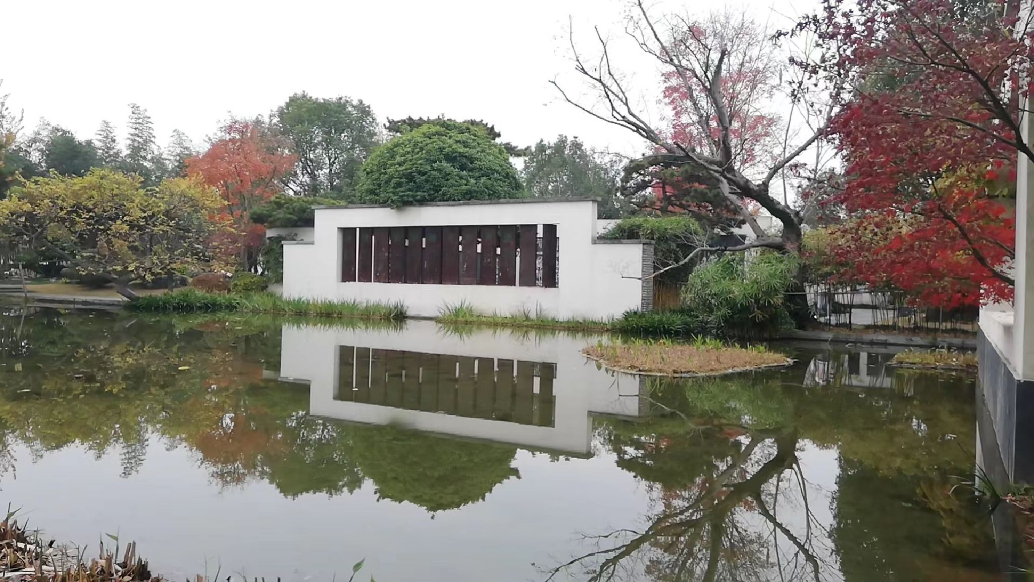 柳湖沙月沙滩公园旅行图片
