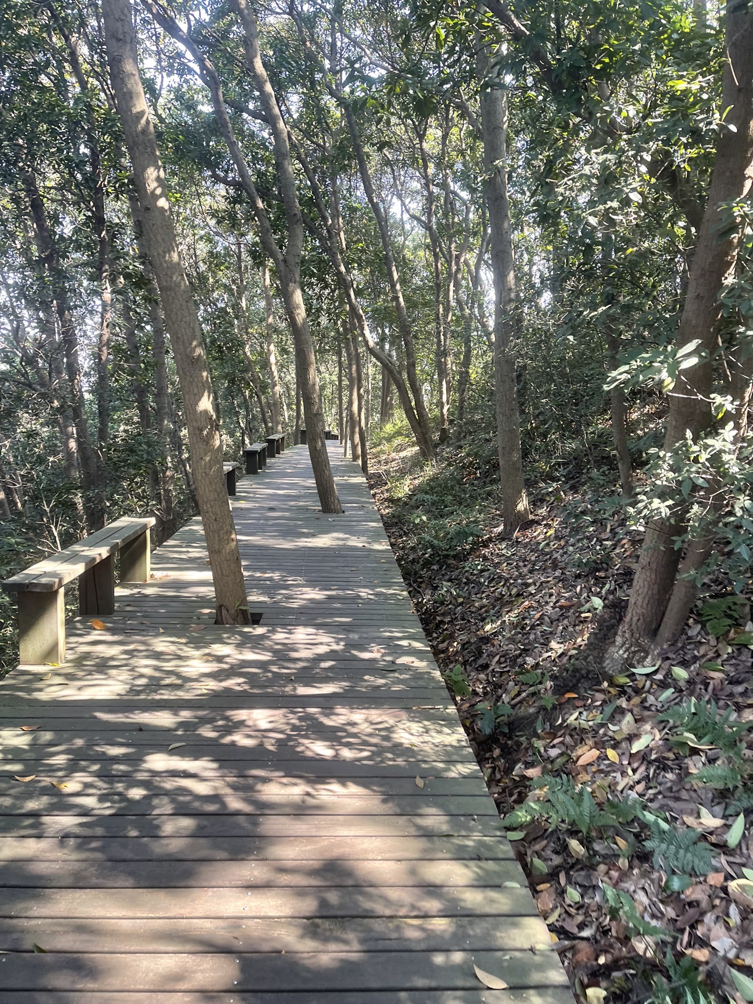 湘湖西山游步道景观亭