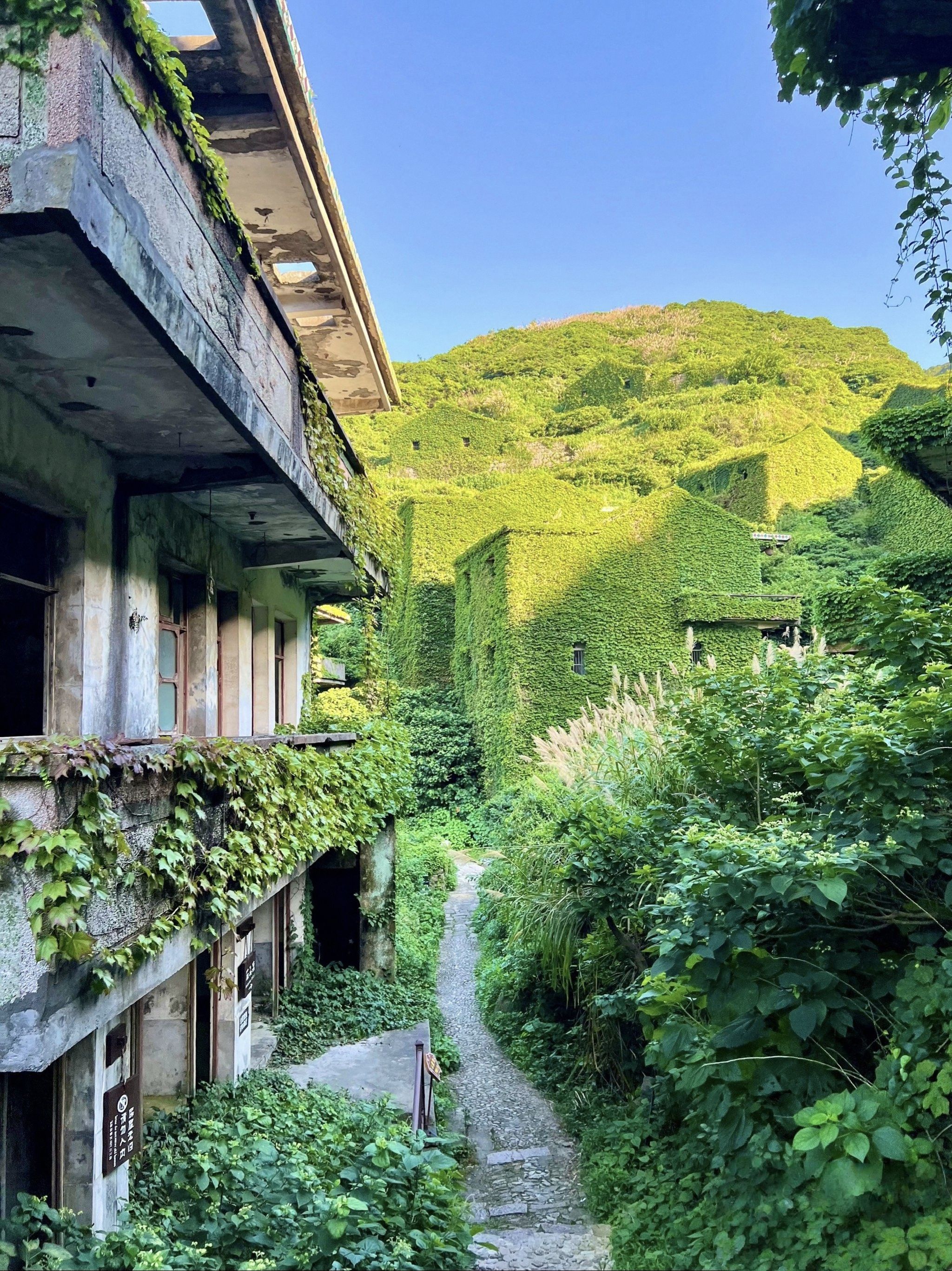 绿野仙踪无人村旅行图片
