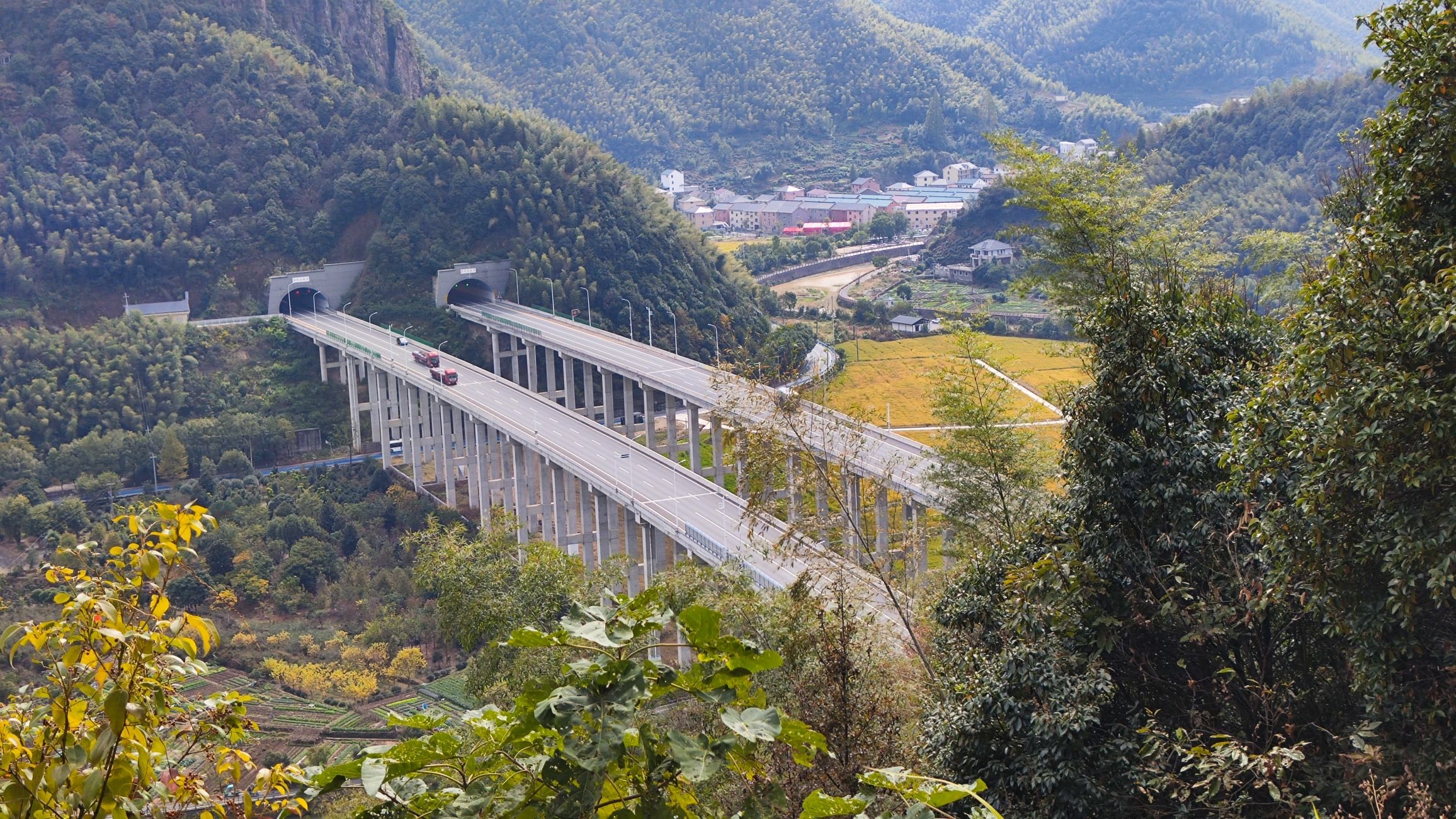 楼塔镇百药山林道观景台