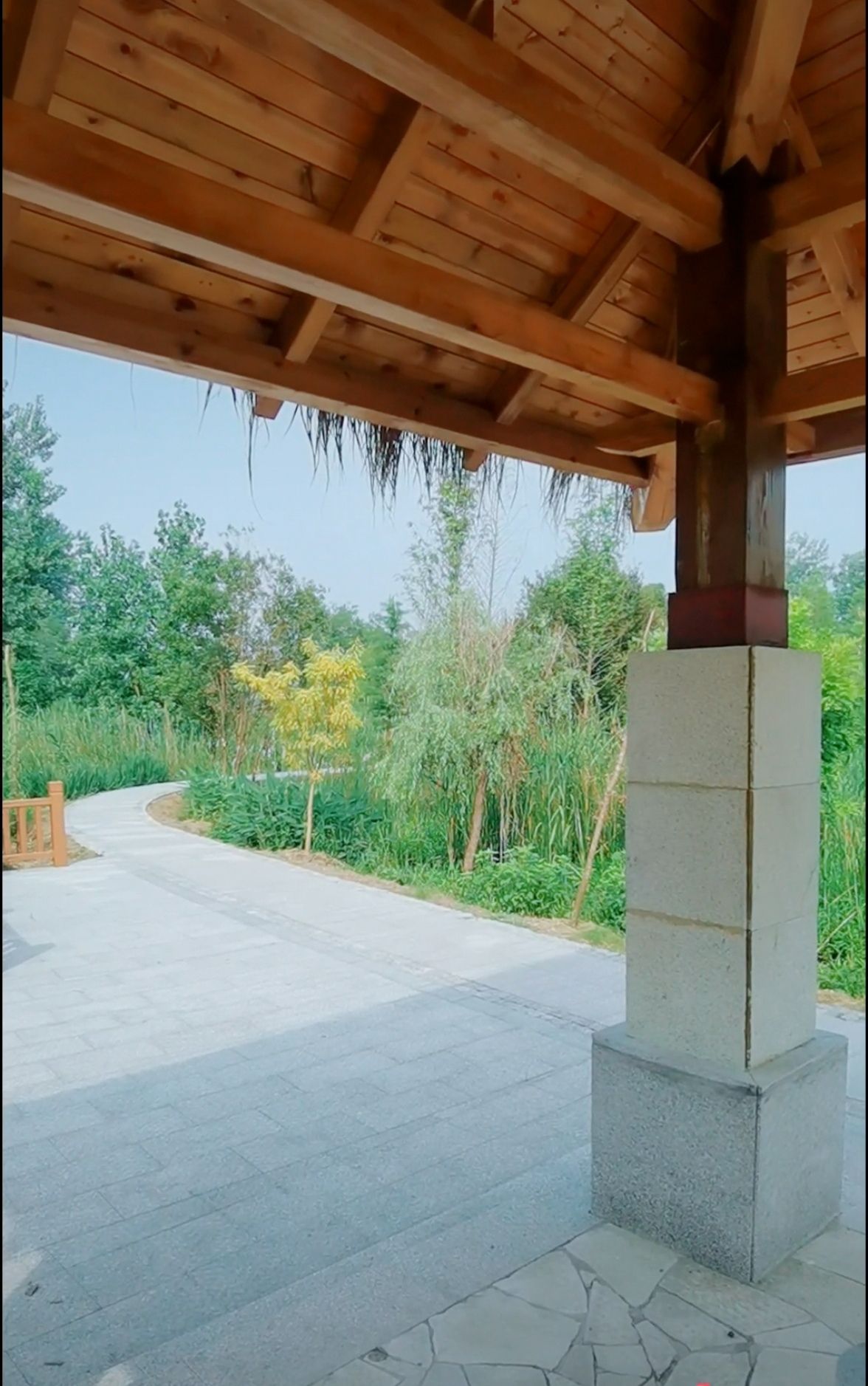 蔡桥河湿地公园