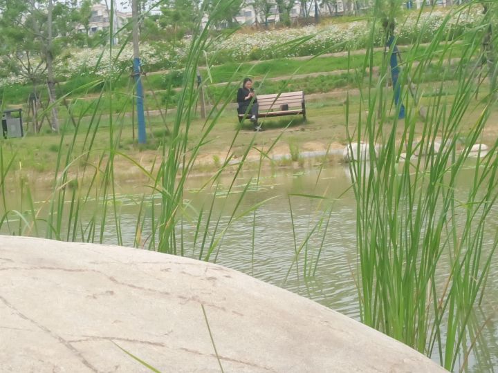 花溪公园