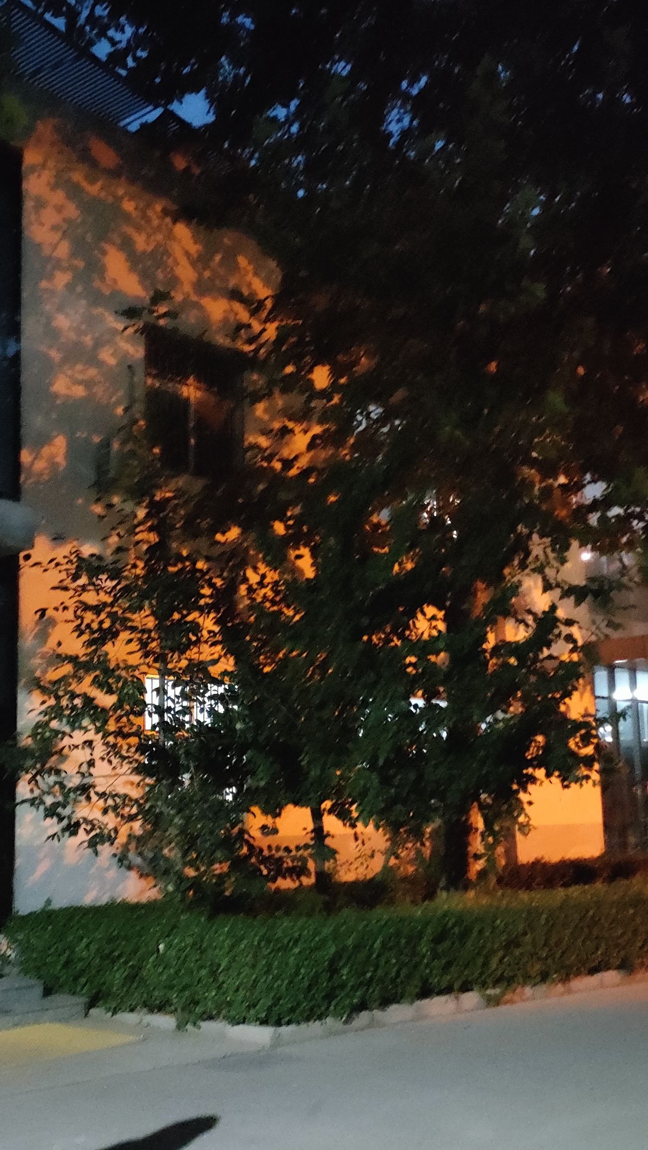 爱琴海滨河绿地公园旅行图片