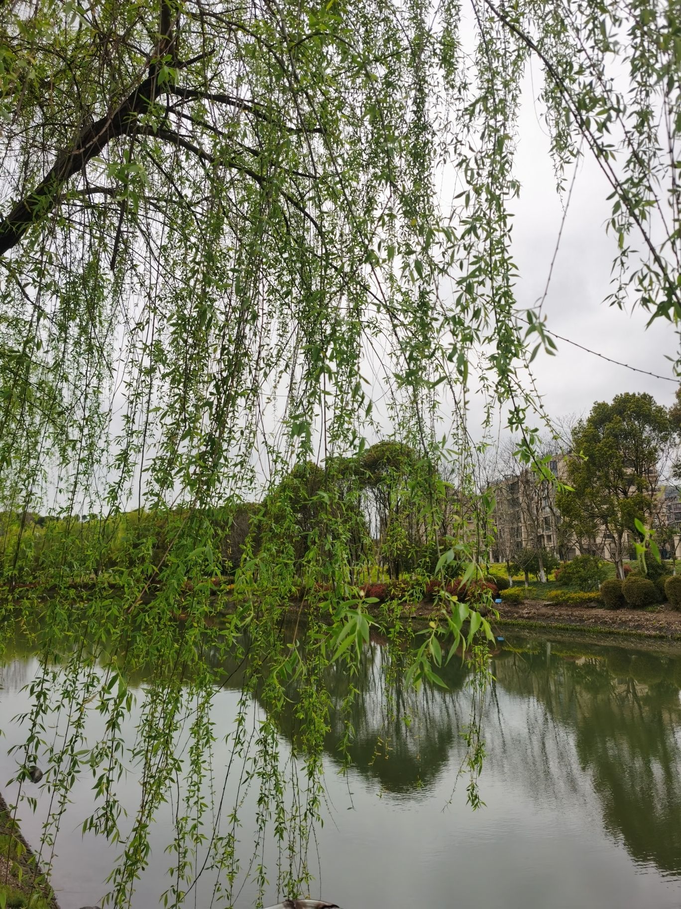 流光河绿道观景平台
