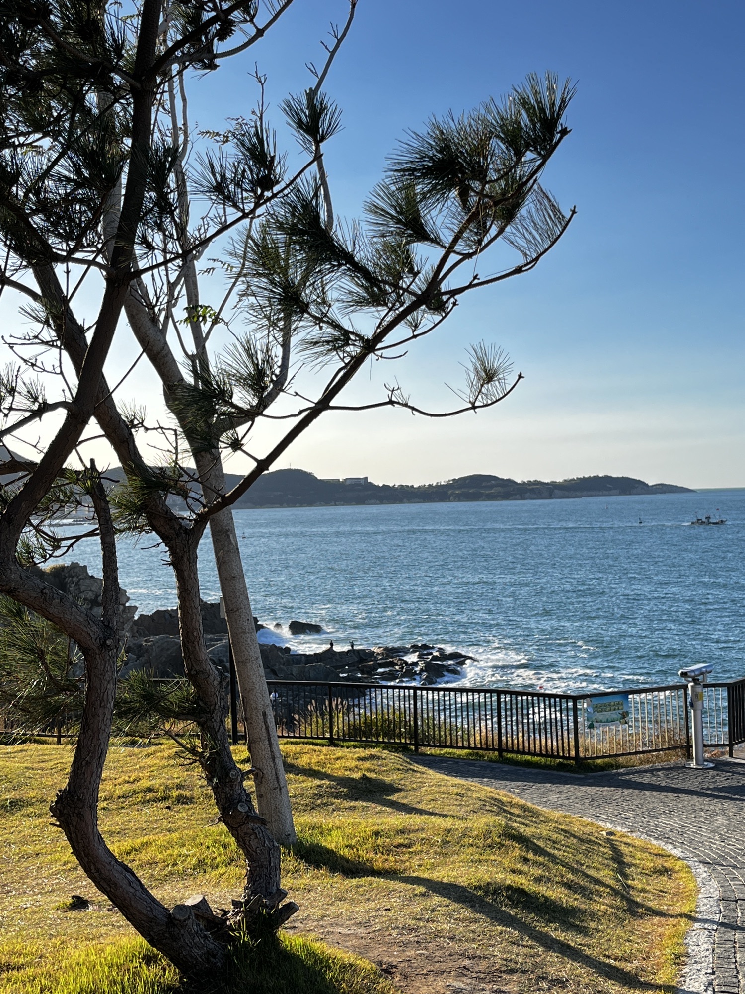 喂海公园旅行图片