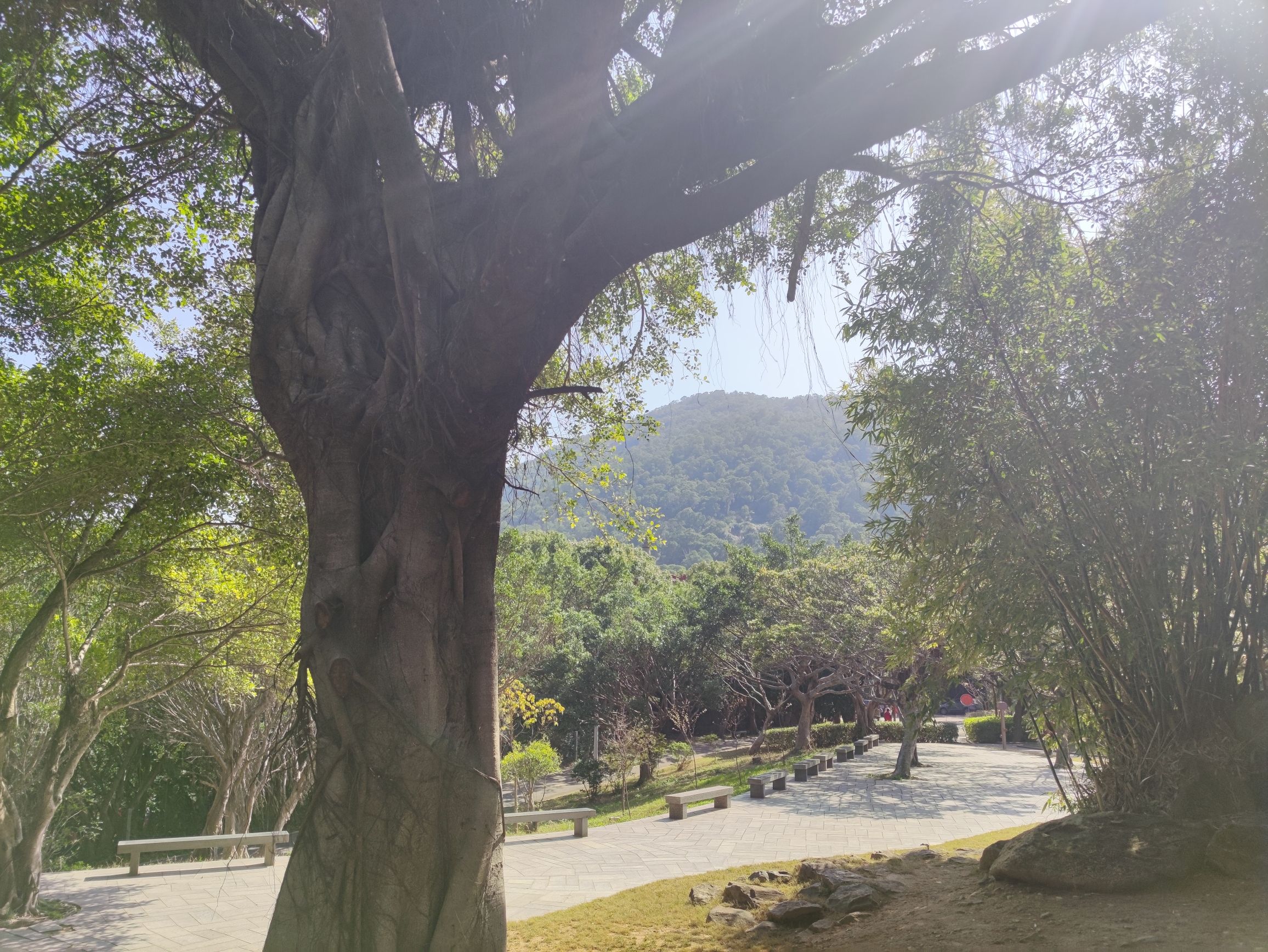白云山风景区