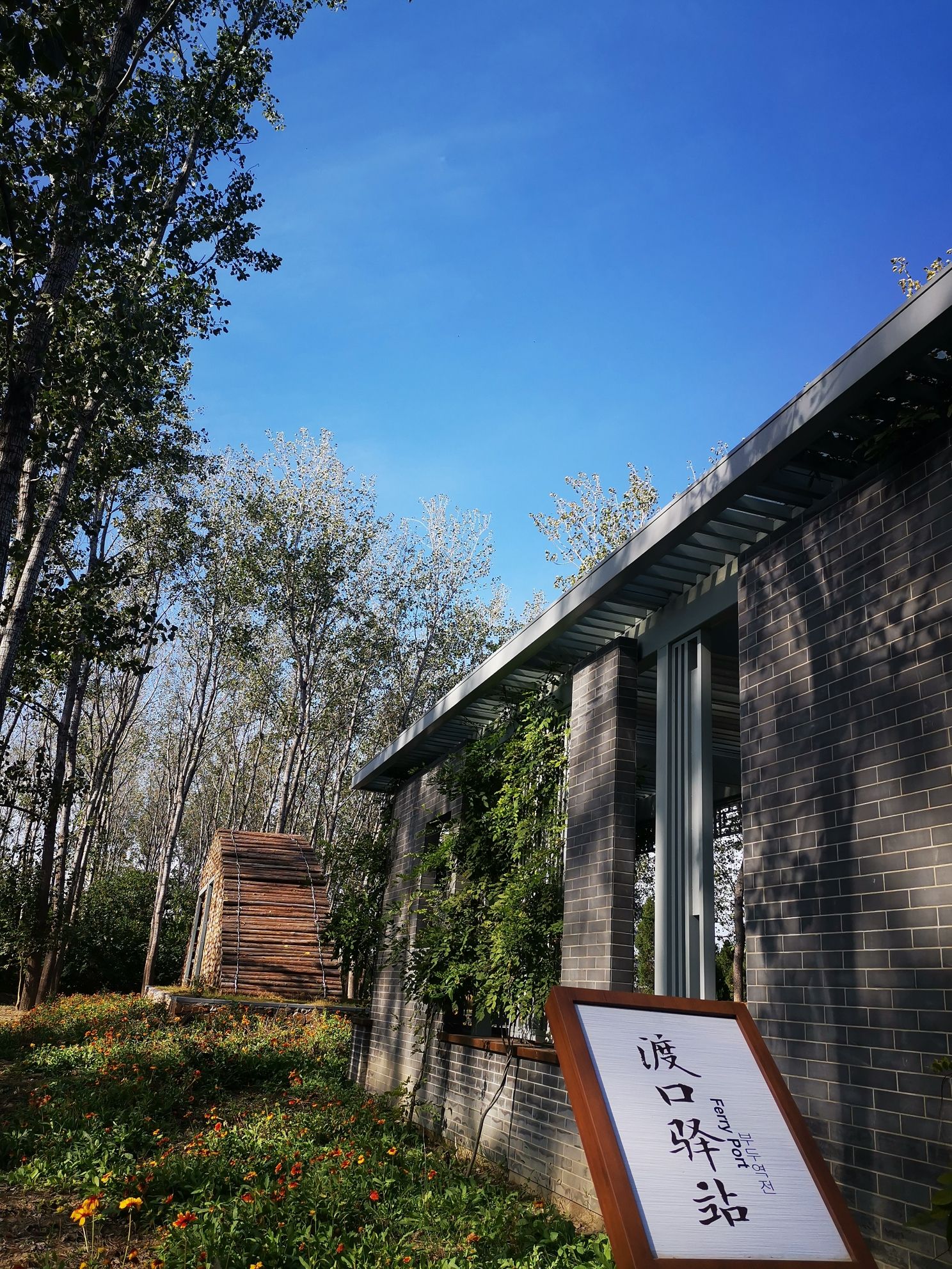 通榆河生态公园旅行图片