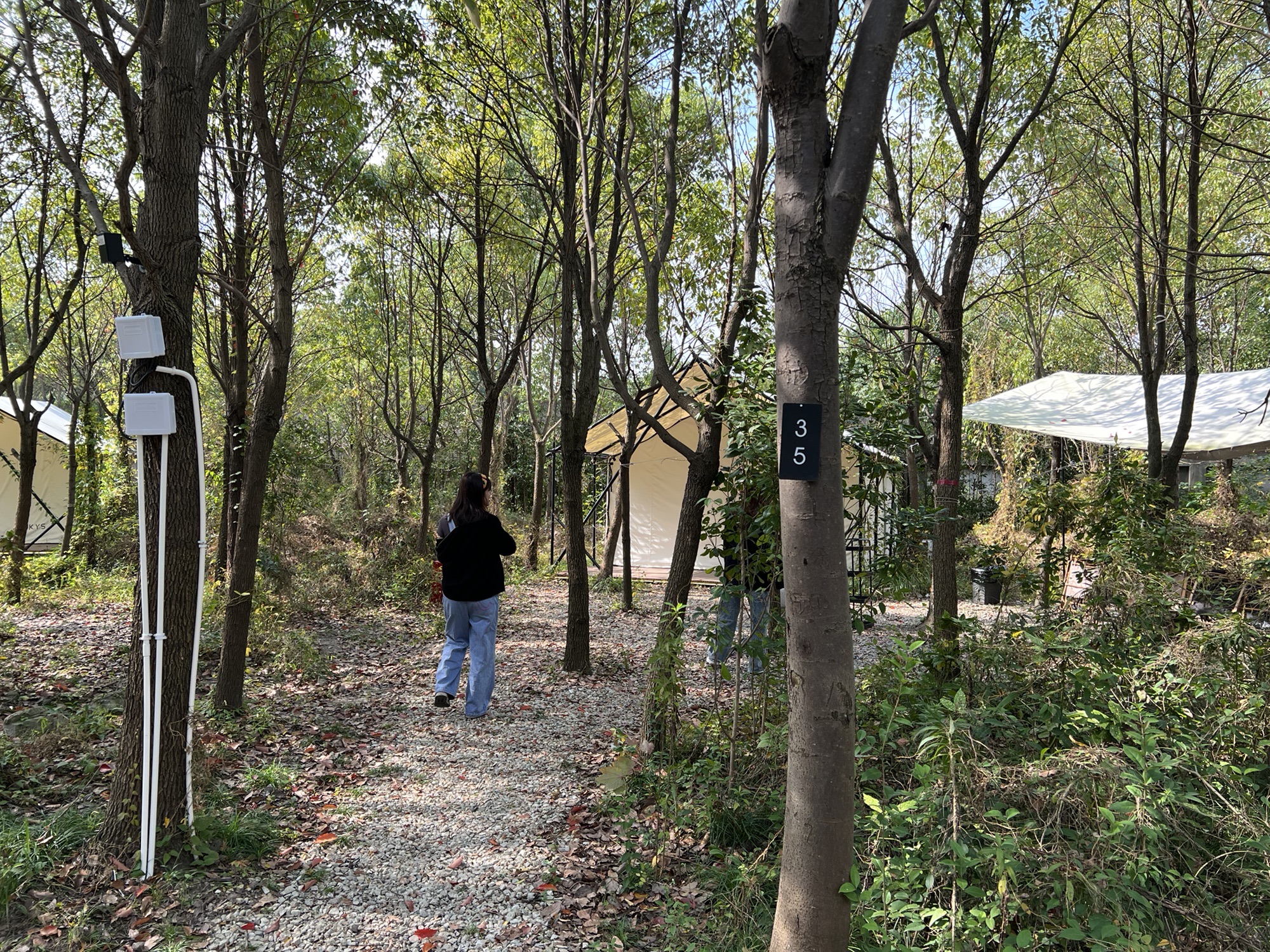 一森露营公园旅行图片