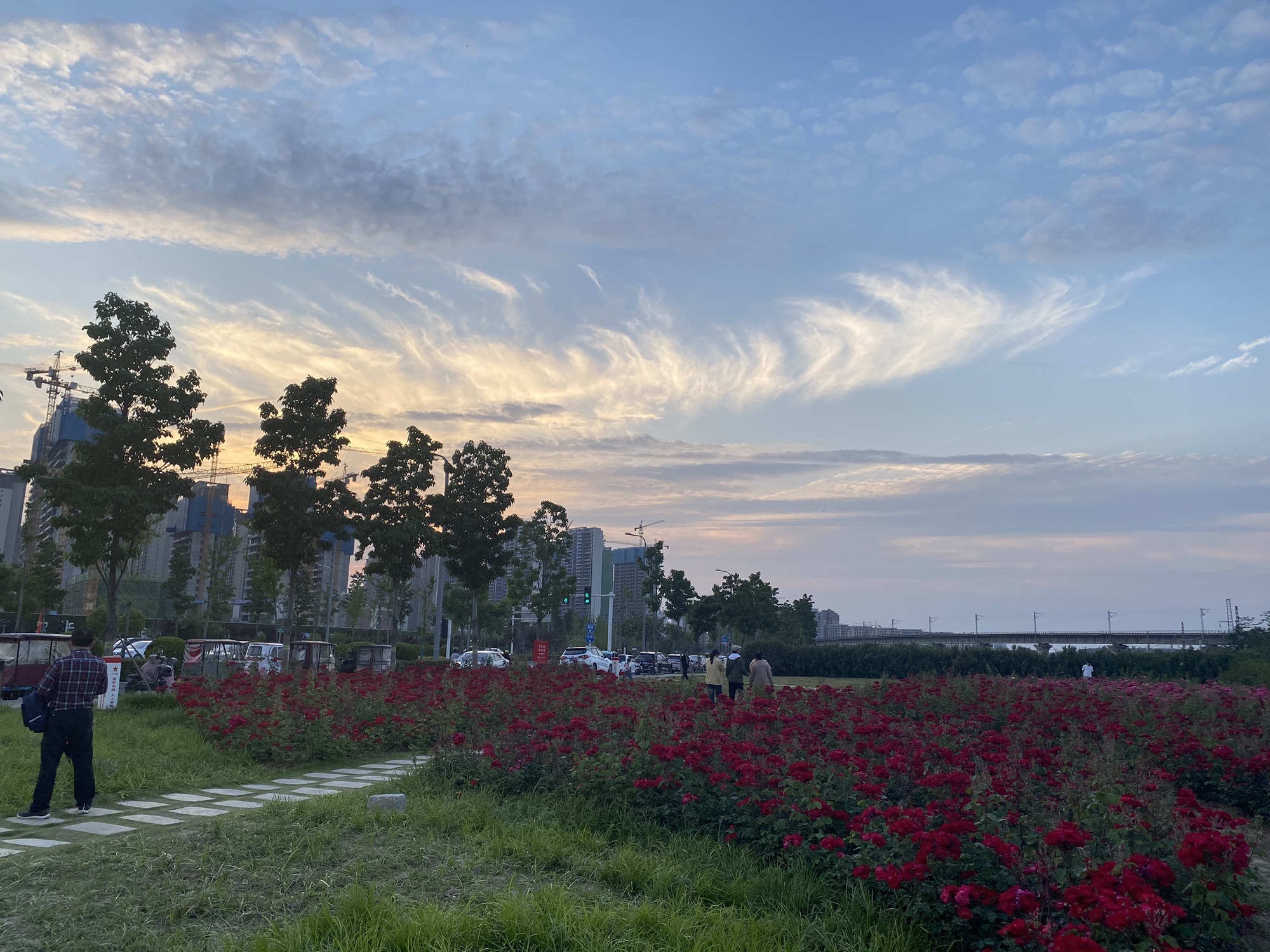 牡丹湖公园旅行图片