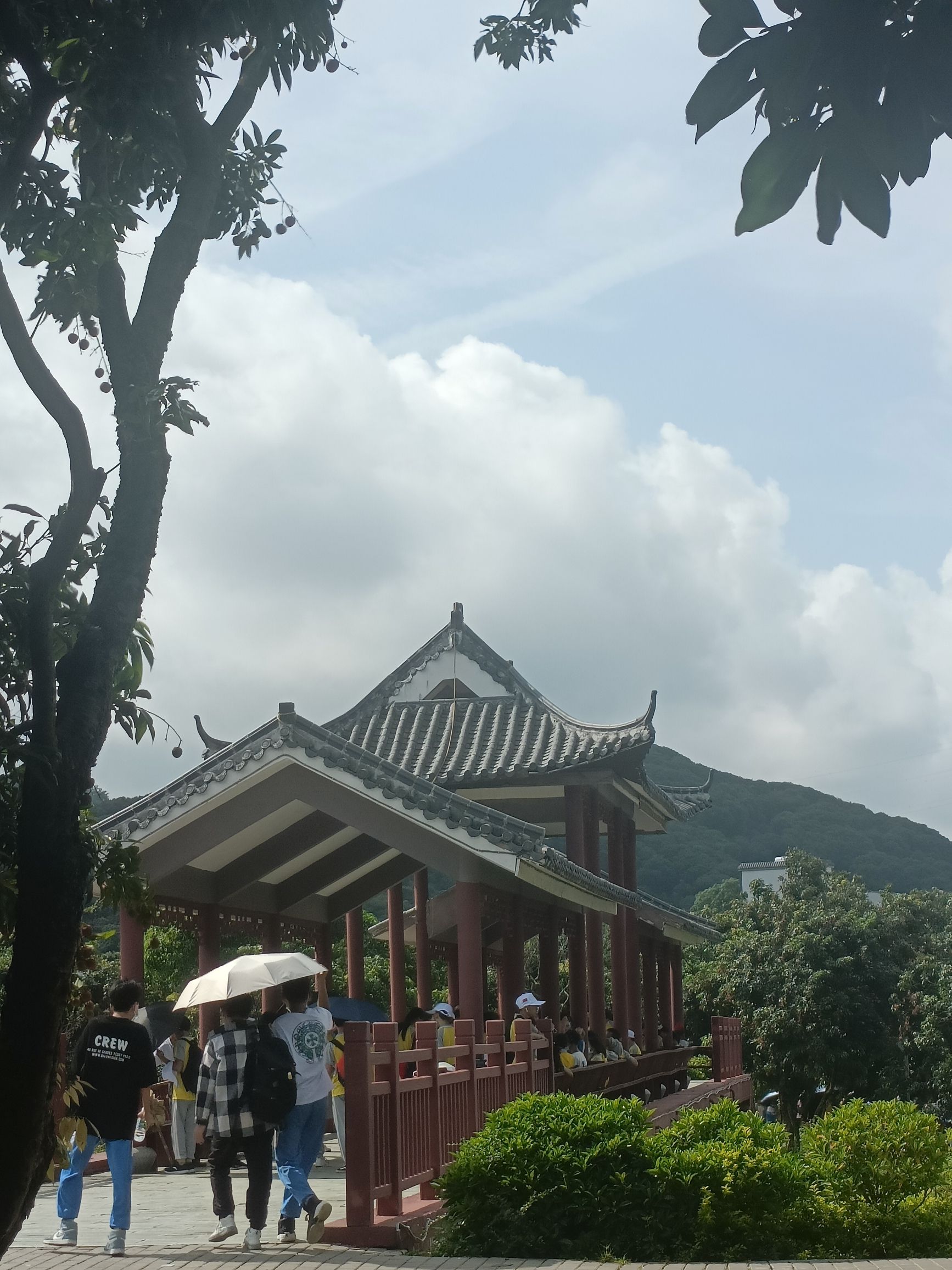 大唐荔乡文化旅游区旅行图片