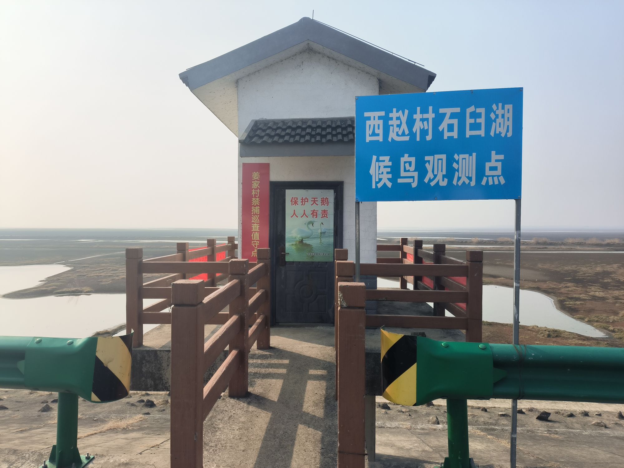 西赵村石臼湖候鸟观测点