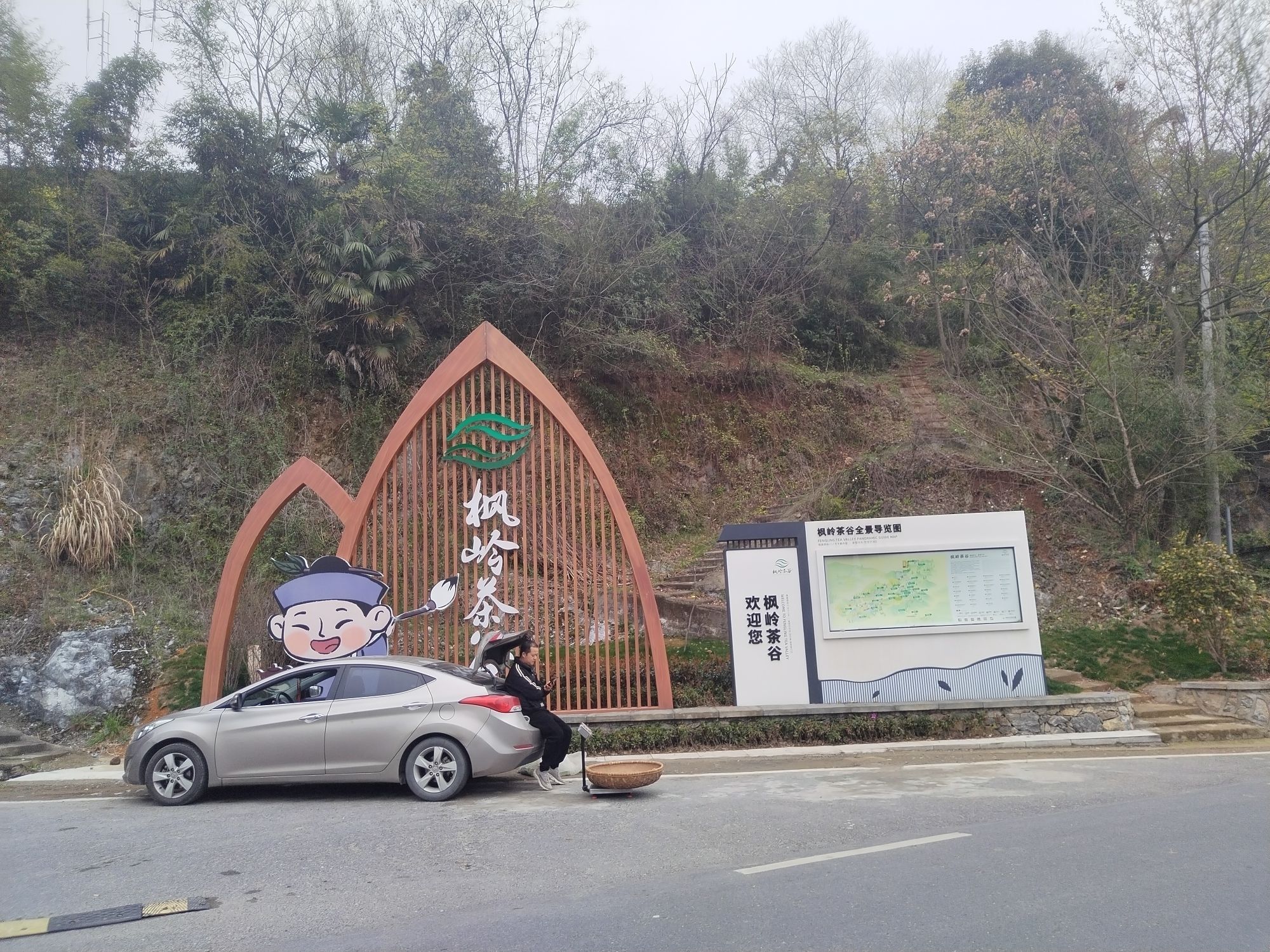 枫岭茶谷.乌龟山景点旅行图片