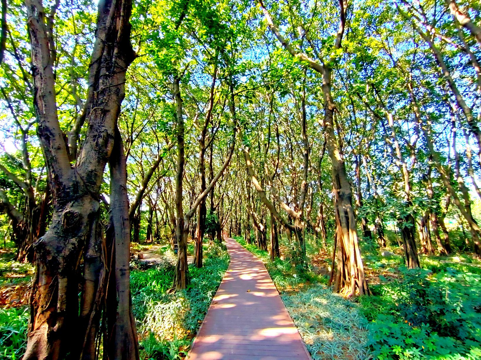榕溪谷口袋公园