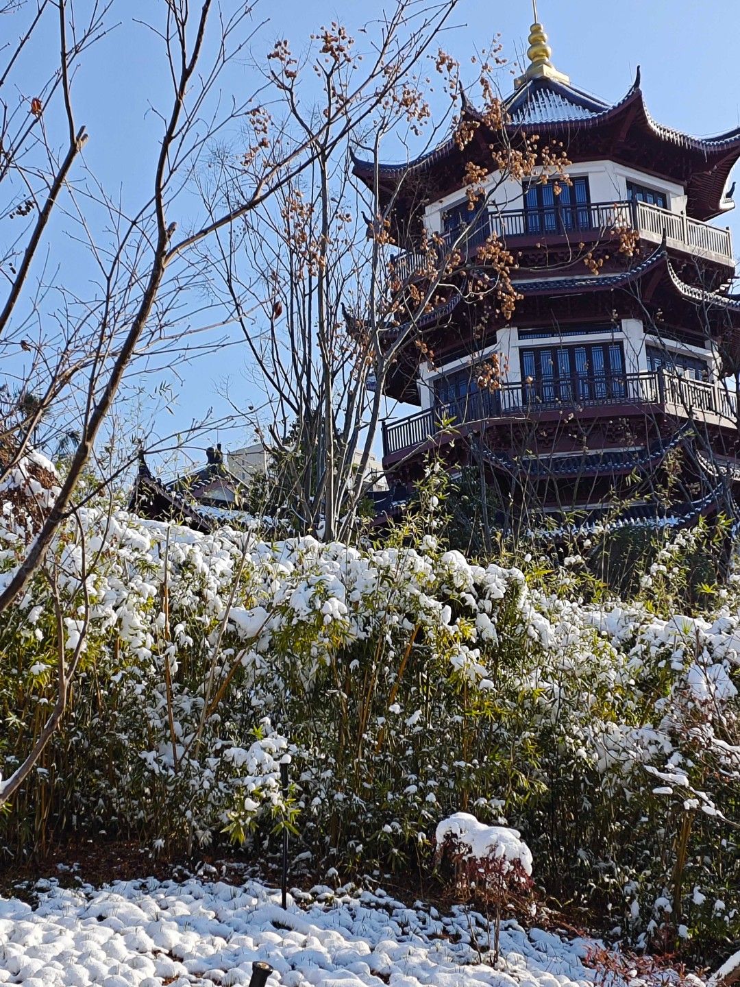曲艺文化公园