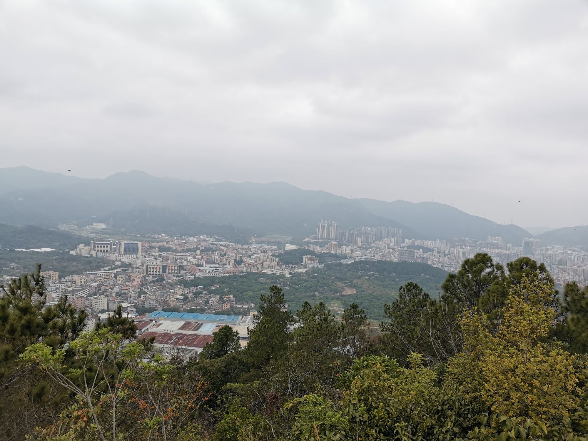 铜鼓岭市级森林公园