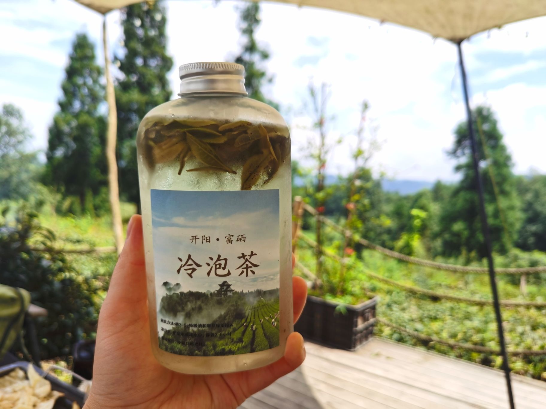 云山茶海露营地