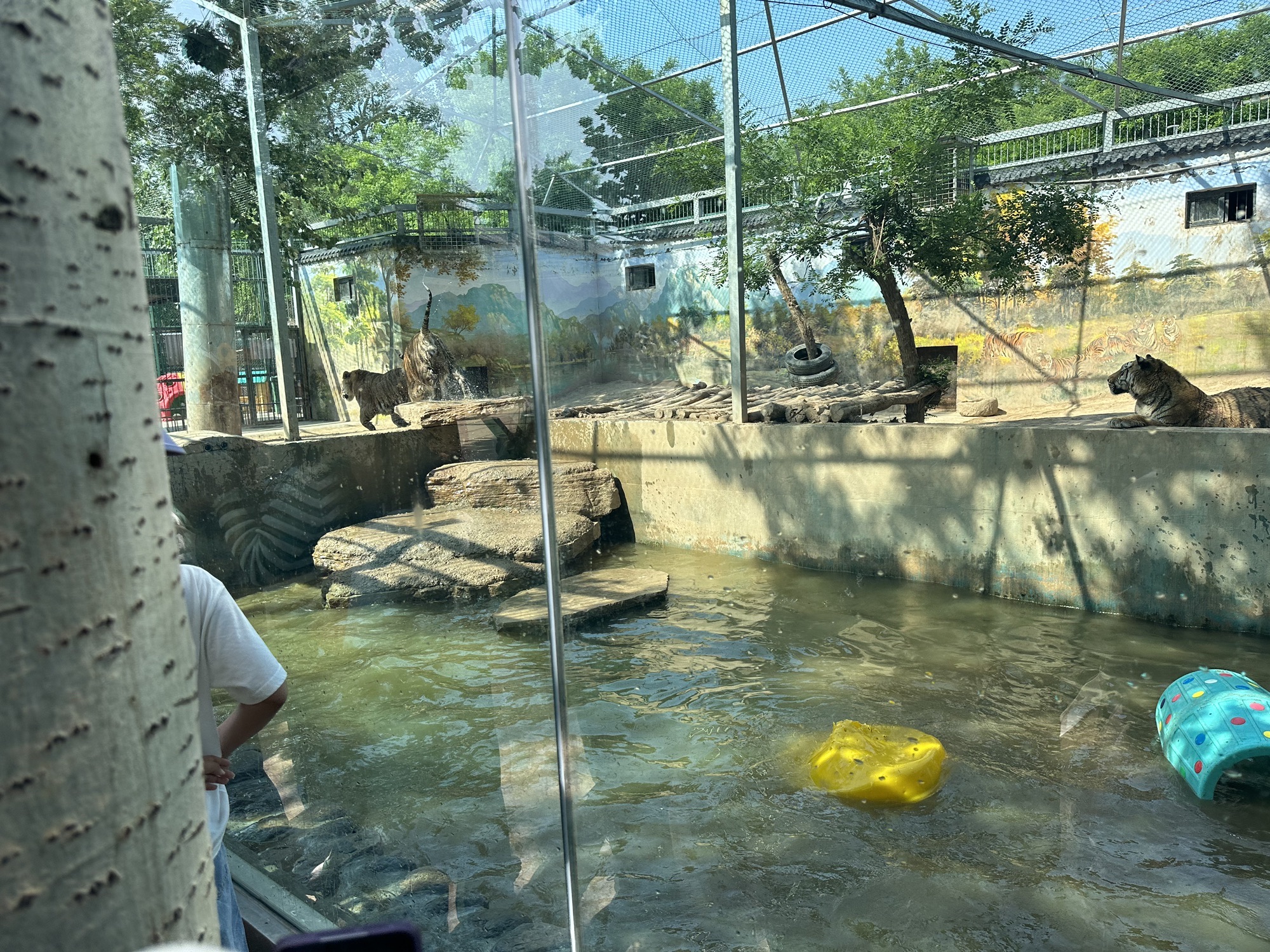 临汾市动物园旅行图片
