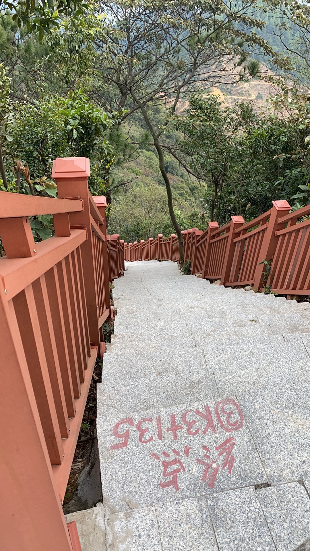 大南山森林文化公园旅行图片