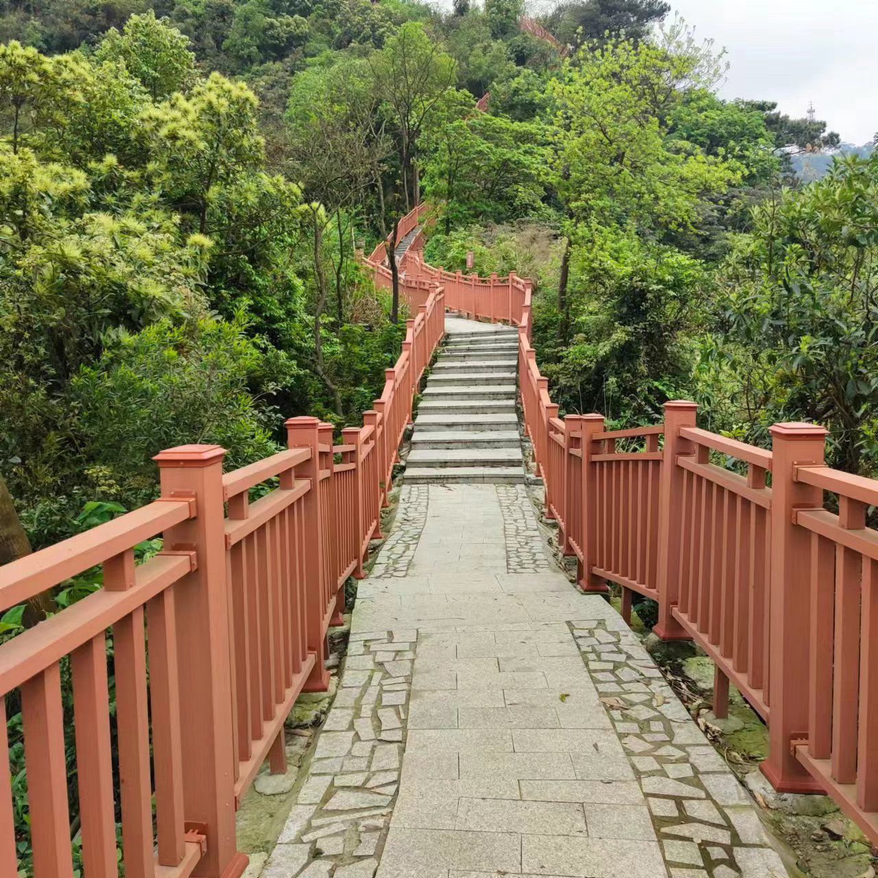 大南山森林文化公园旅行图片