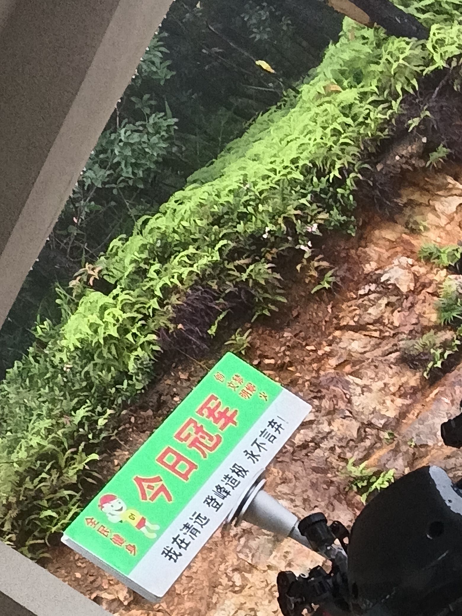 南峡山旅行图片