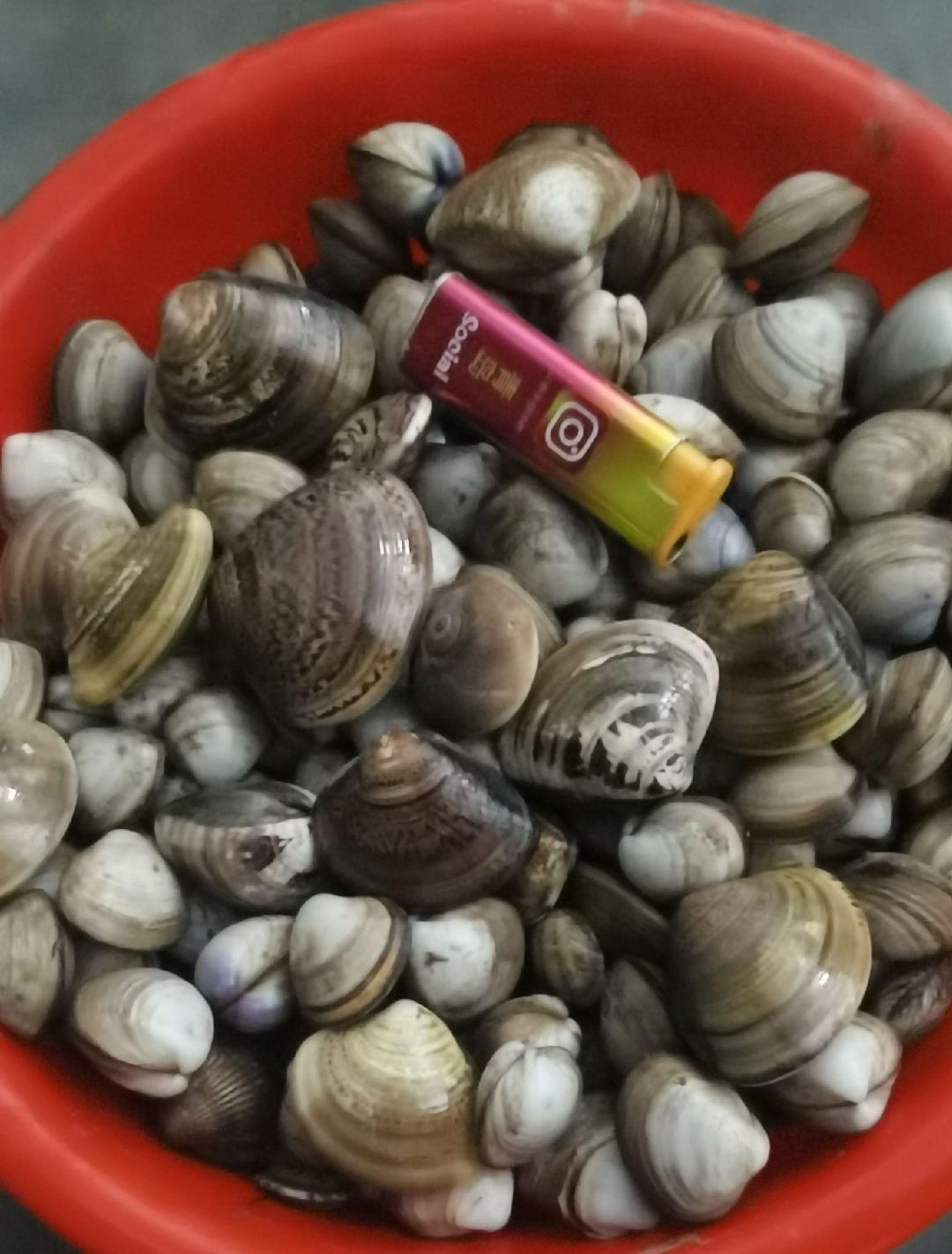 龙威赶海度假区旅行图片