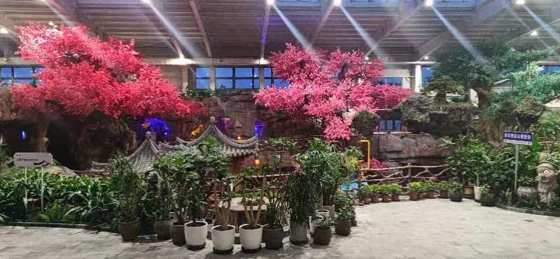 琵岩山温泉古村落旅行图片
