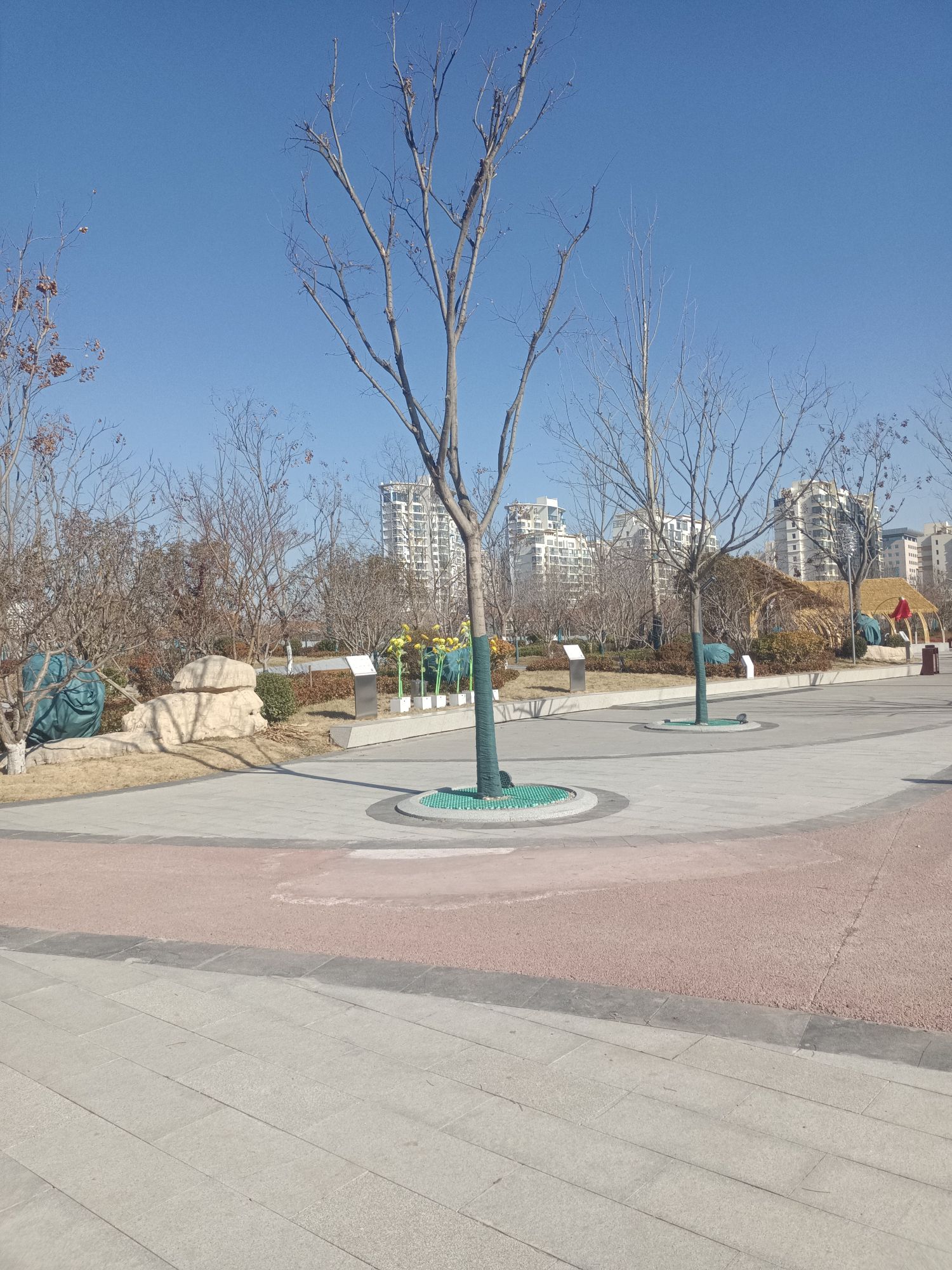 城市公园旅行图片