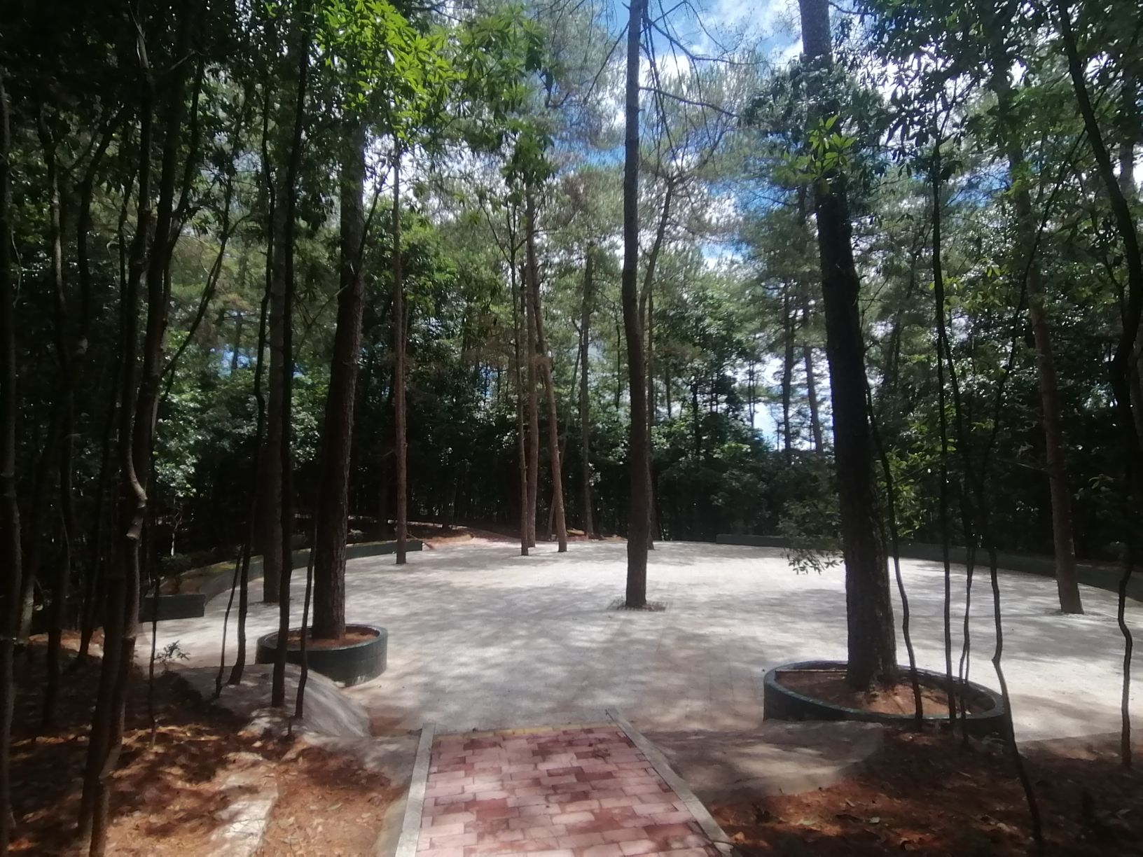 盘龙山公园旅行图片