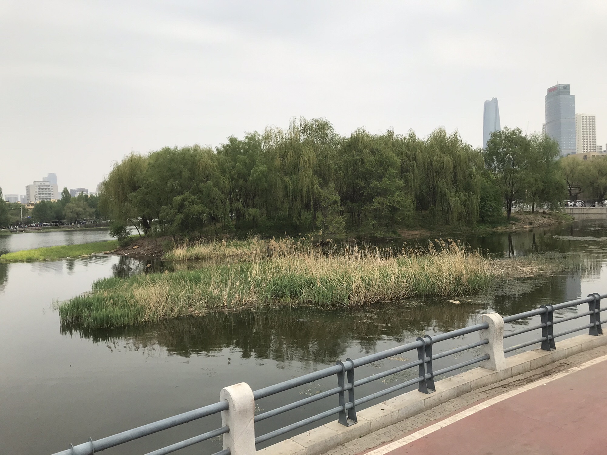 沈阳青少年宫绿地口袋公园