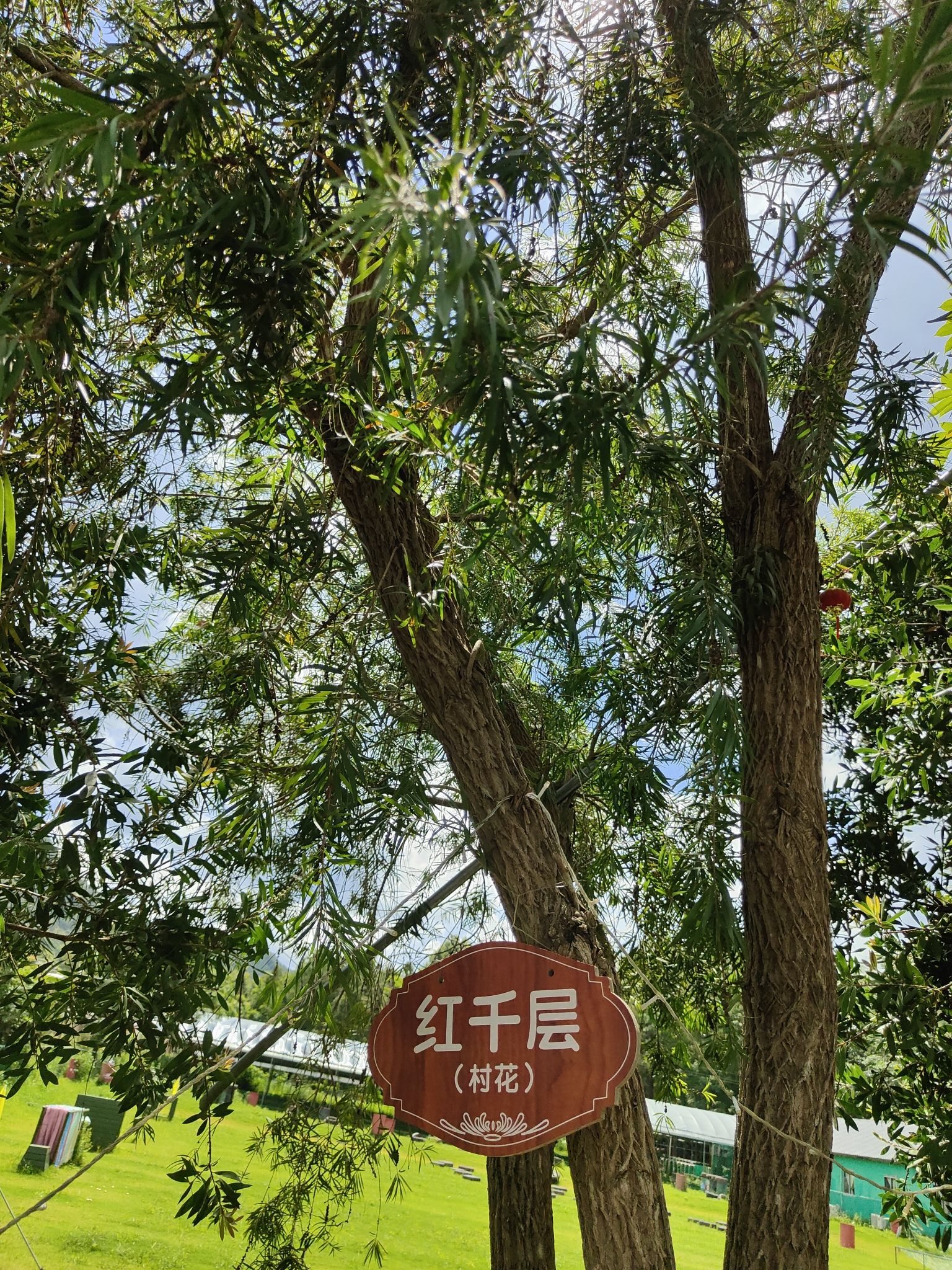 坪地山旅游景区
