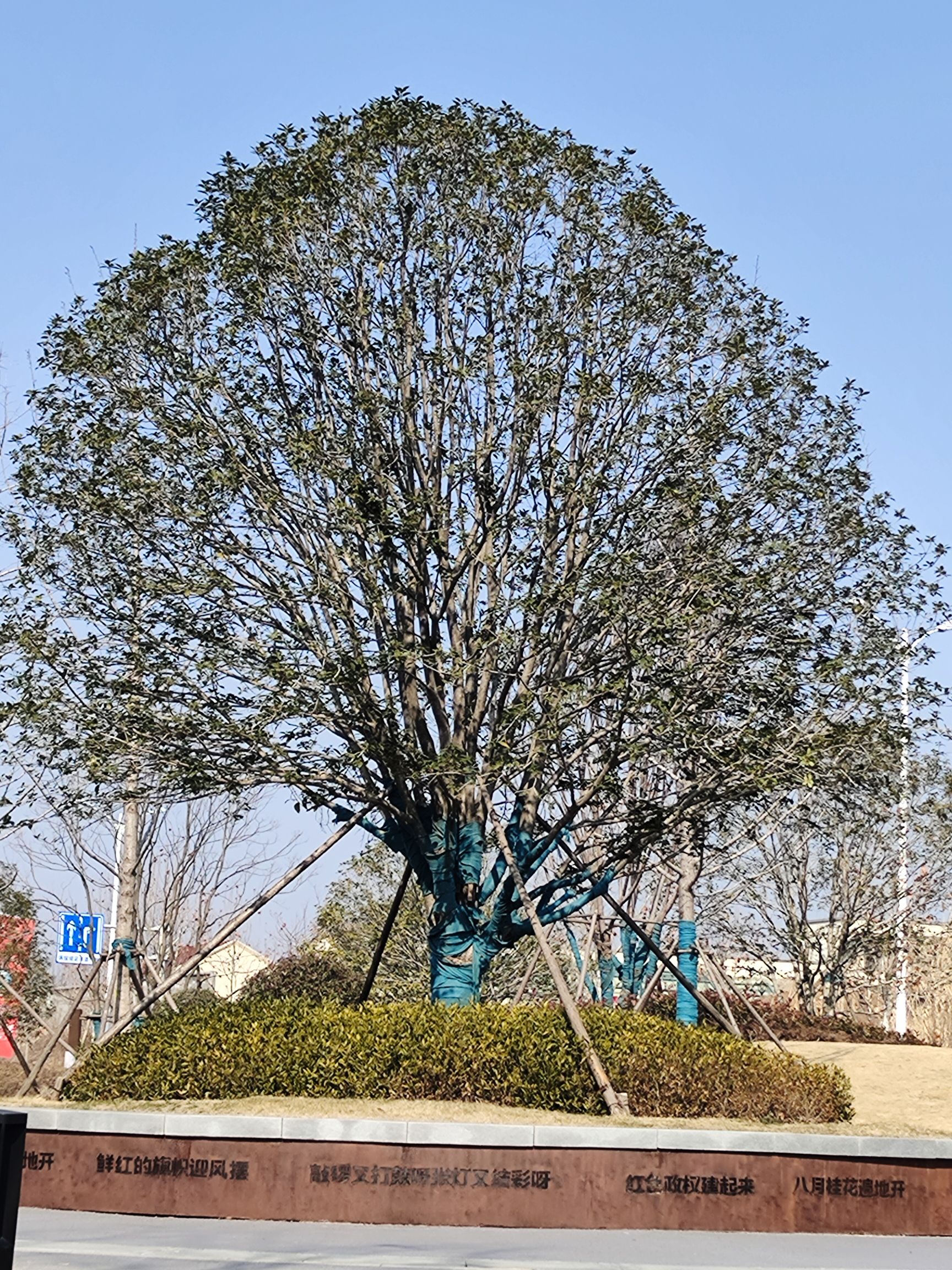 赓续公园旅行图片