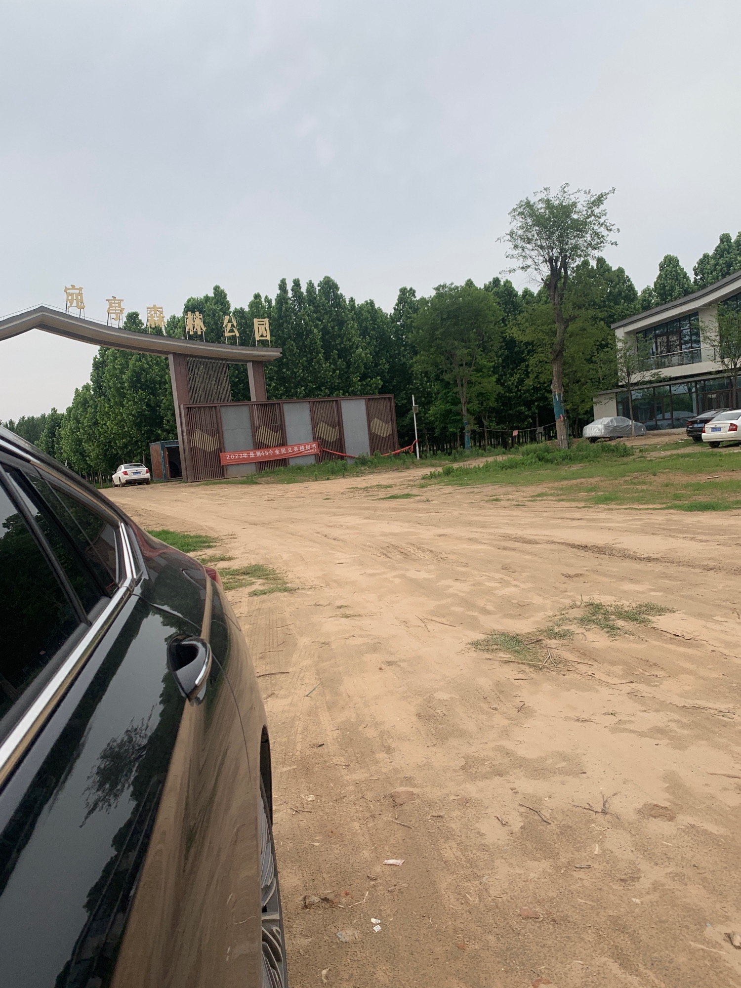 东明宛亭森林公园