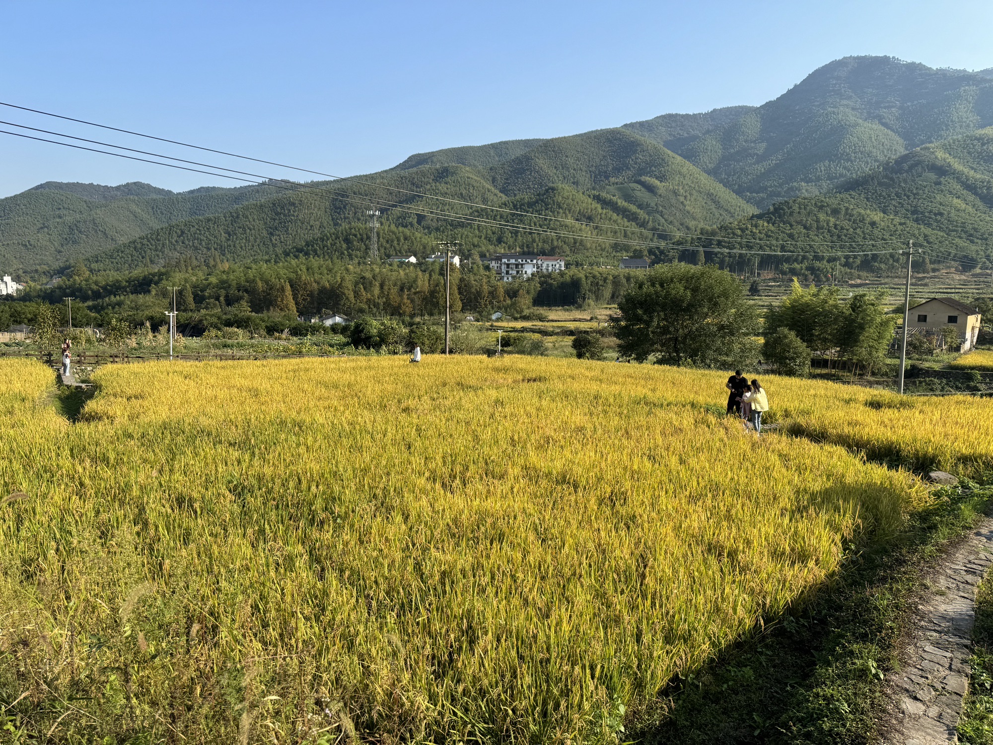 仙潭田园乐园