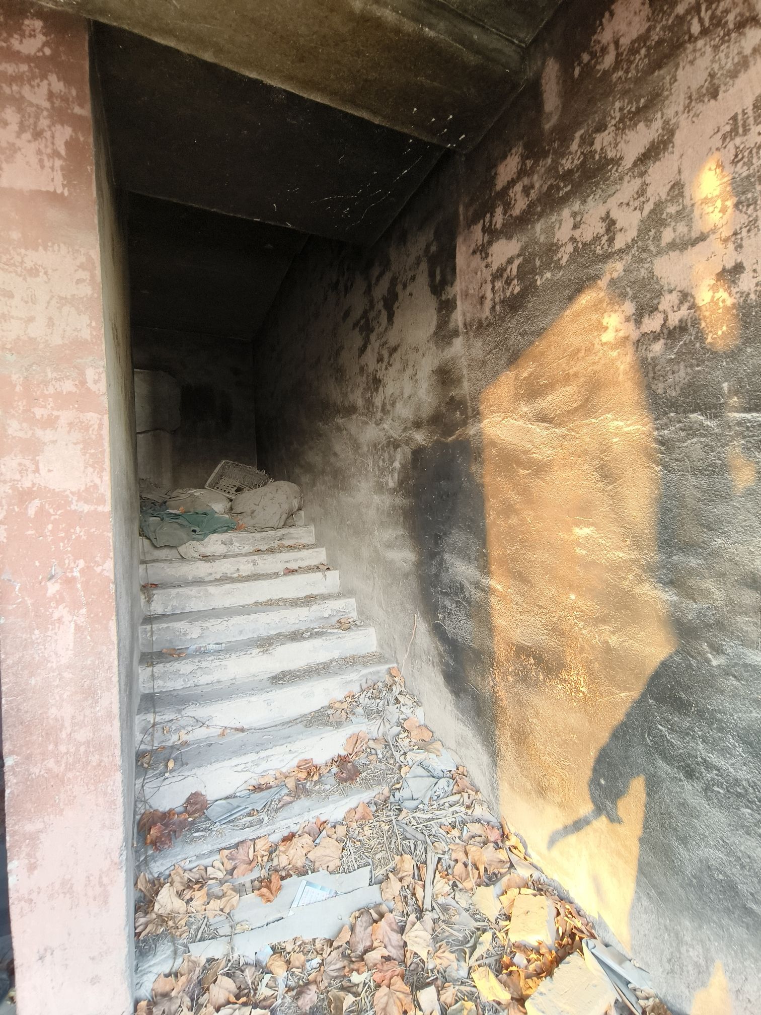拾家大院