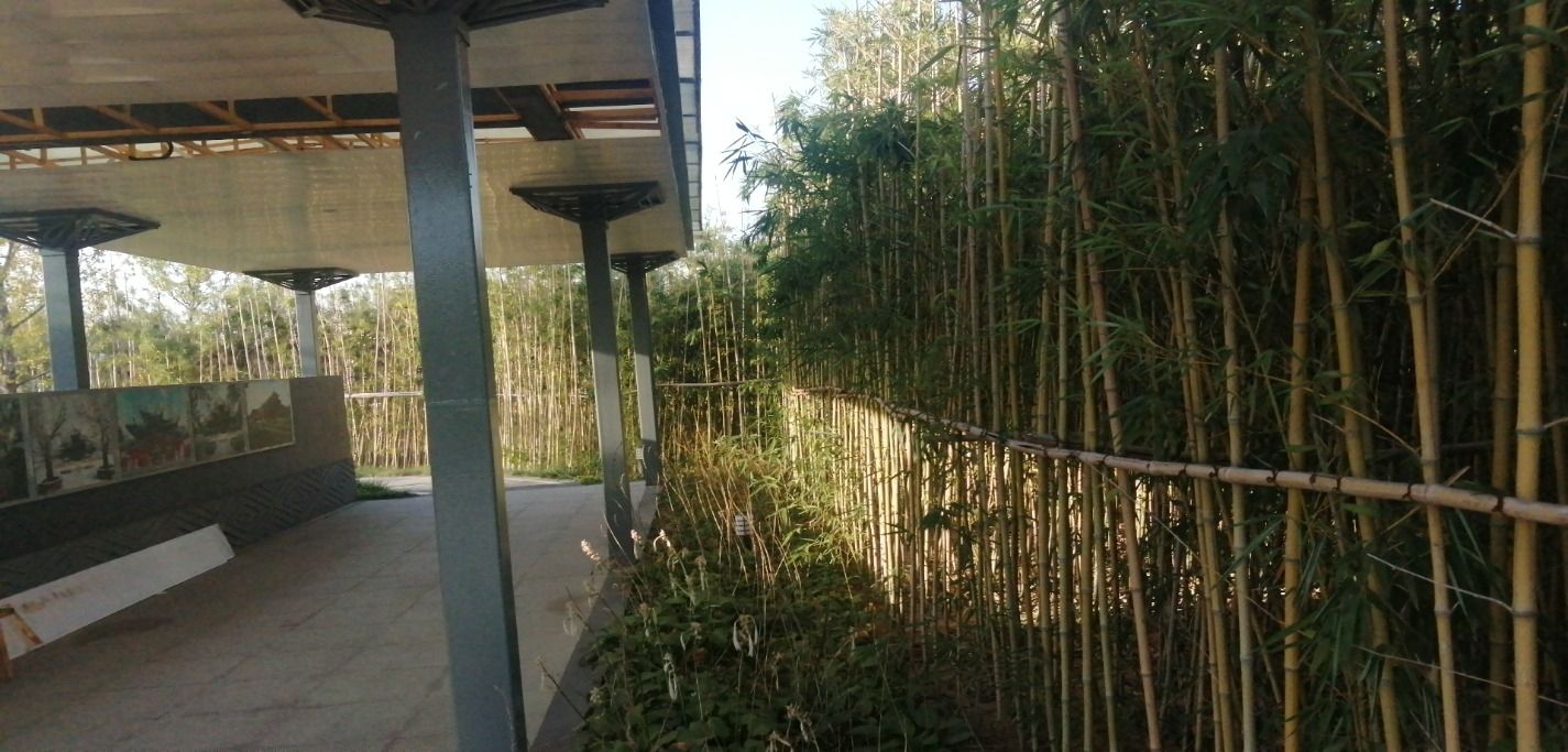 定州园旅行图片