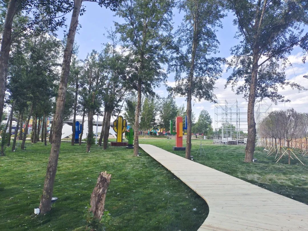 花海之约旅行图片